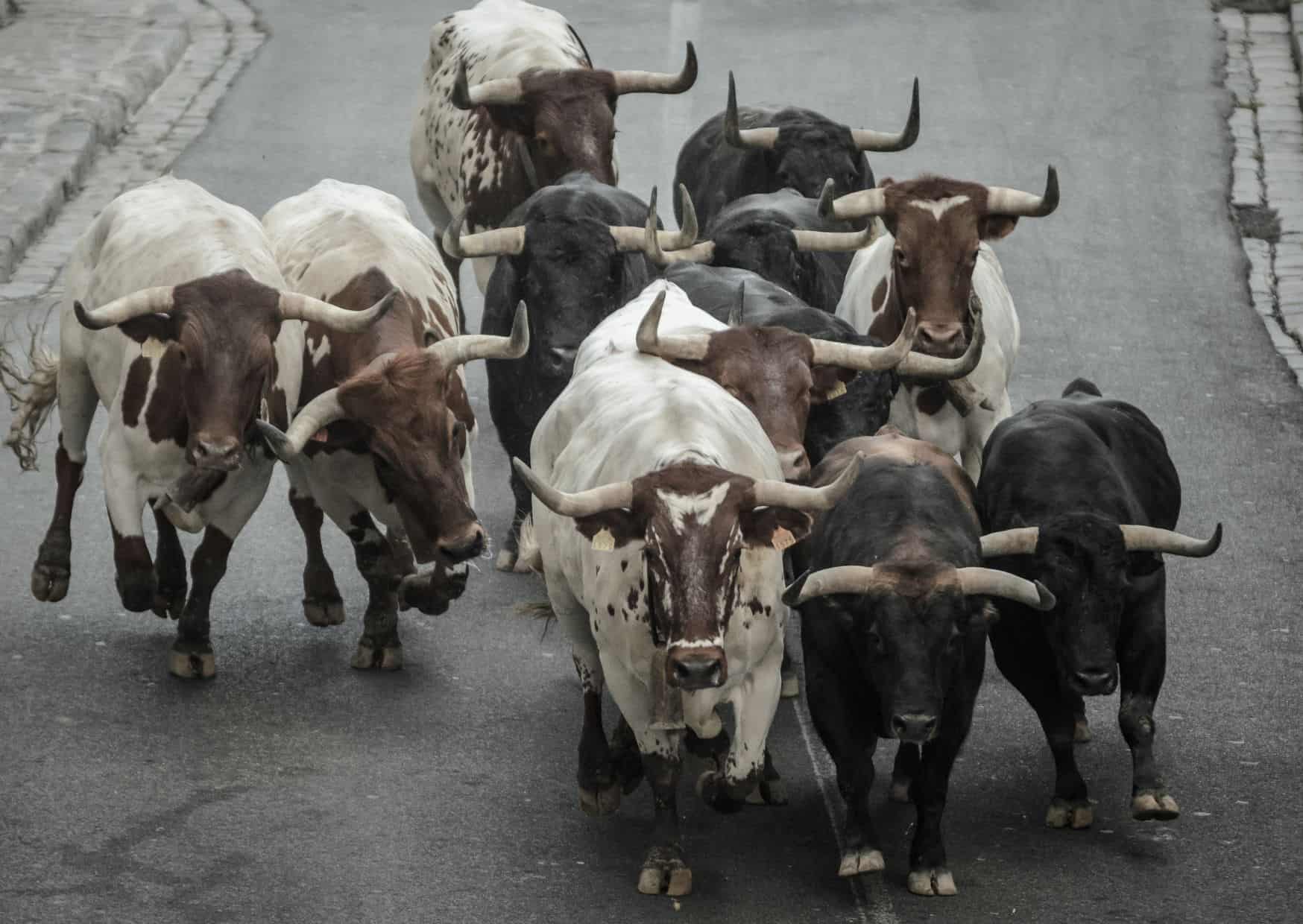 15 Reasons For Americans to Move to Spain