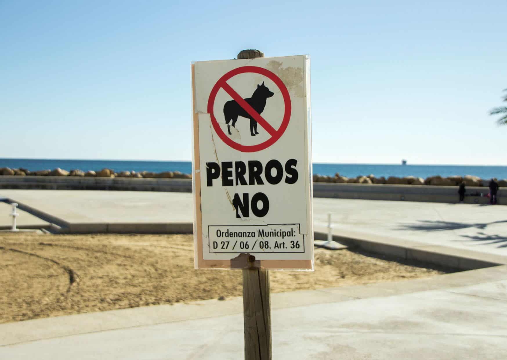 10 Common Mistakes to Avoid on Spanish Beaches And How to Avoid Them