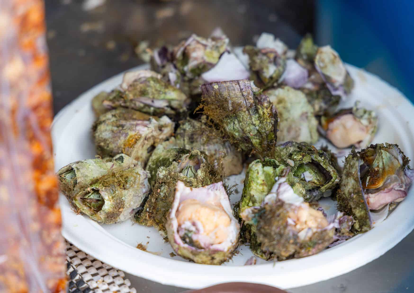 Percebes, 5 Worst Food to Try in Spain and What to Try Instead