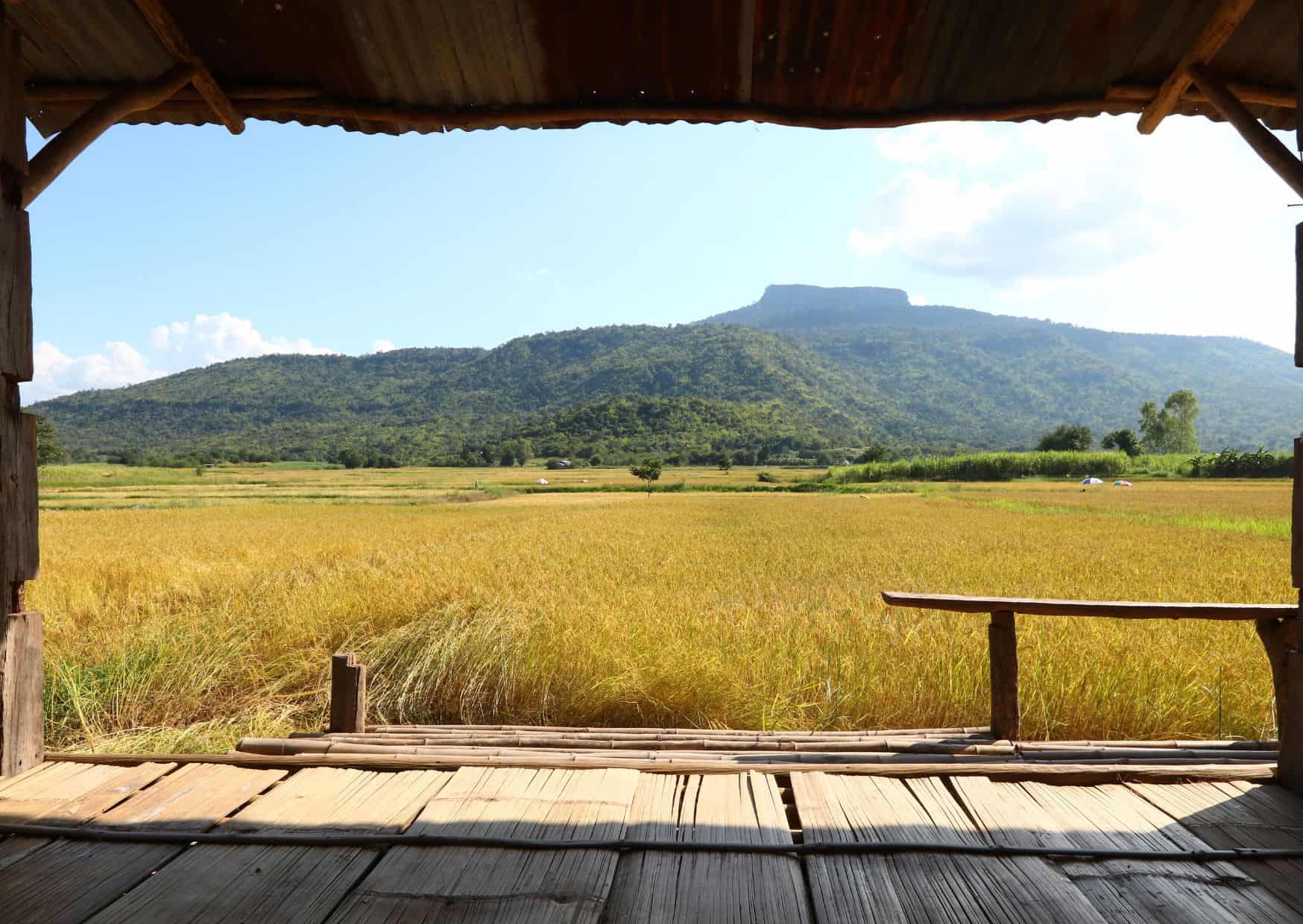 How to Find Affordable Accommodation Without Paying High Airbnb Prices: Alternatives