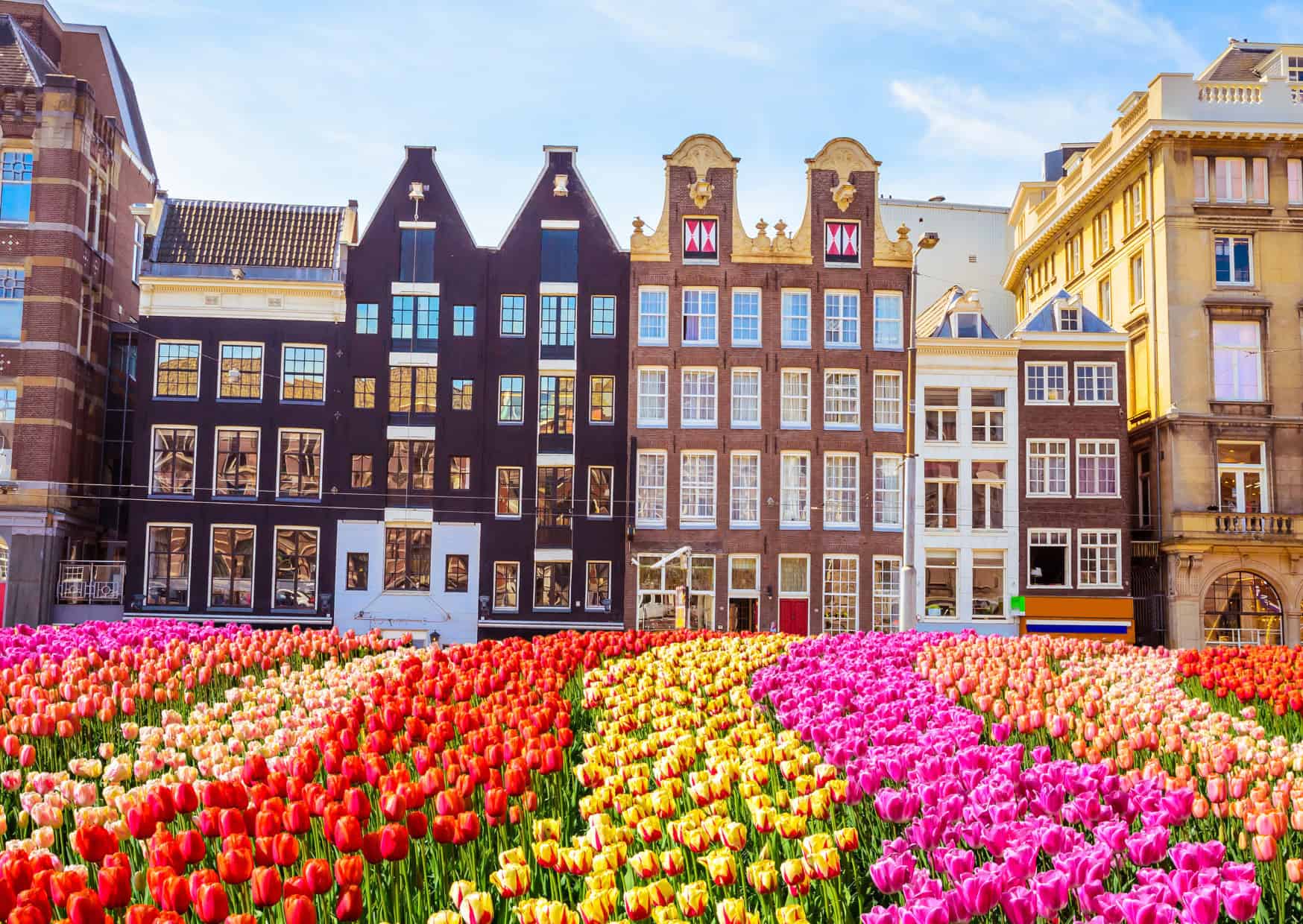 Amsterdam Cities Ruined by tourism