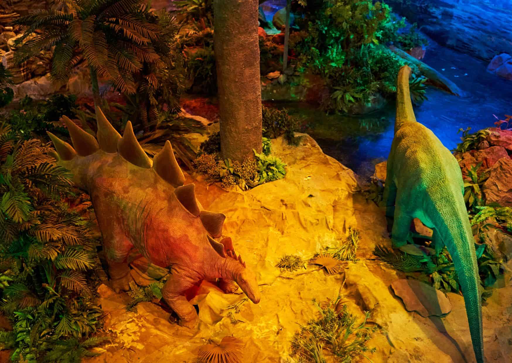 New Favorite Destination In Spain: Asturias - Why You Should Visit