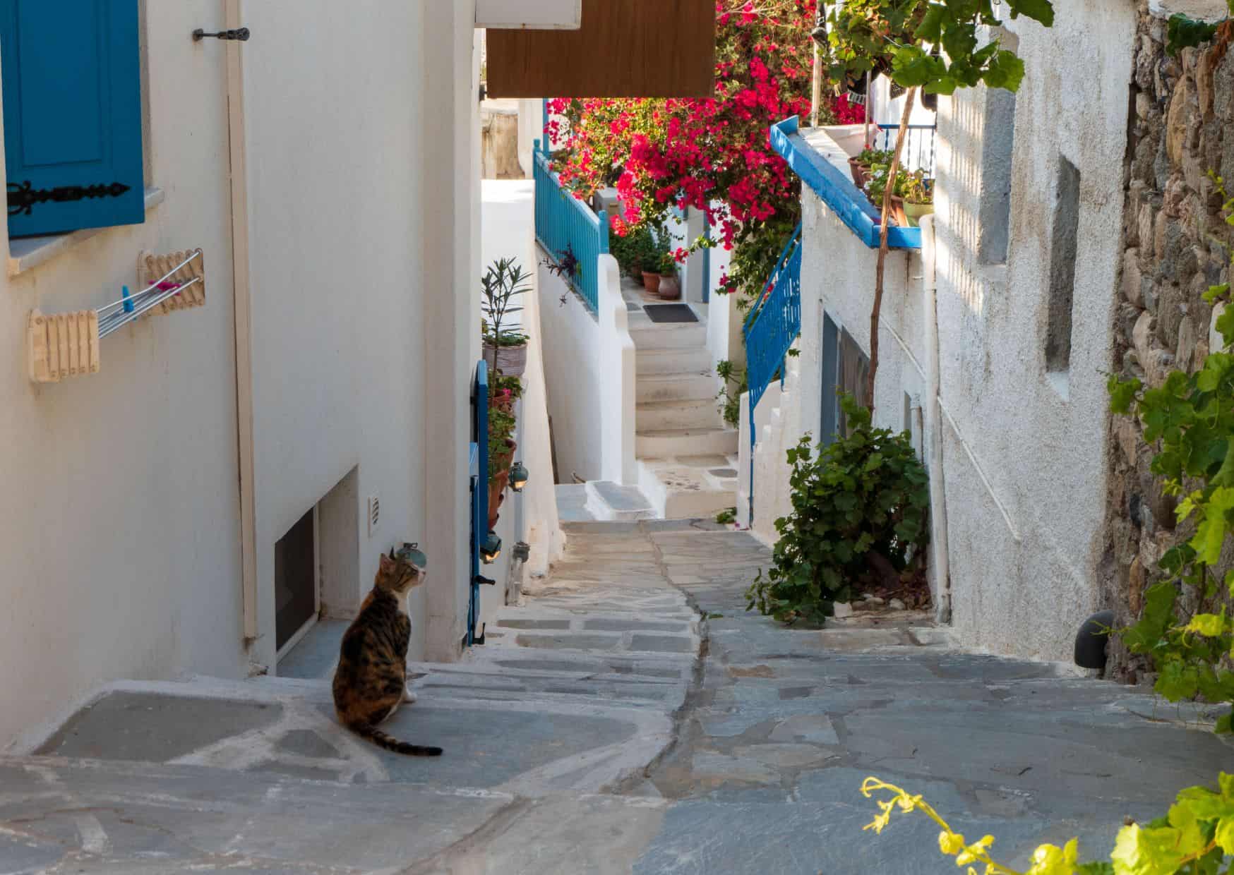 Naxos, How To Spend 3 Days in the Greek Islands Without Breaking the Bank