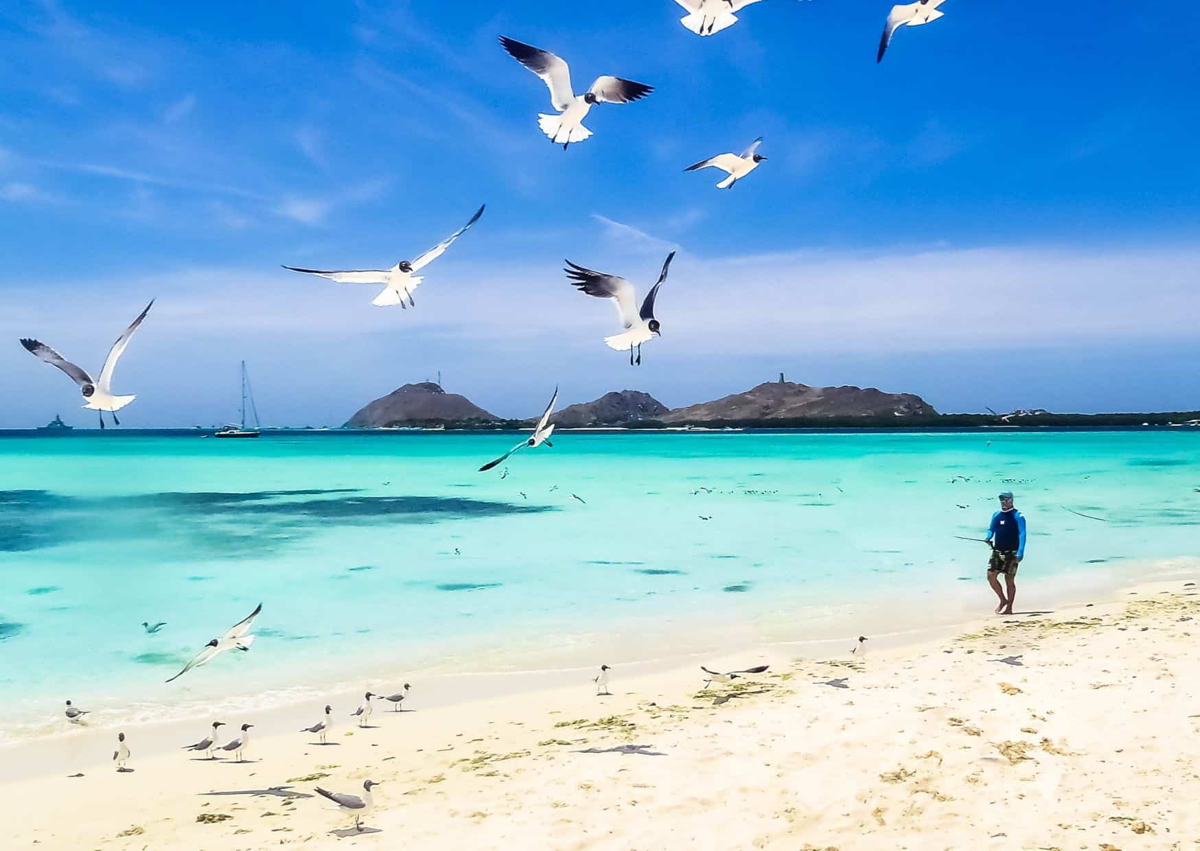 20 Unspoken Rules Of Caribbean Beaches That Tourists Can't Understand 1 20 Unspoken Rules Of Caribbean Beaches That Tourists Can't Understand, Don’t Do This in the Caribbean: 20 Things Not to Do in the Caribbean, 7 Tourist Traps to Avoid in the Caribbean And How To Avoid Them