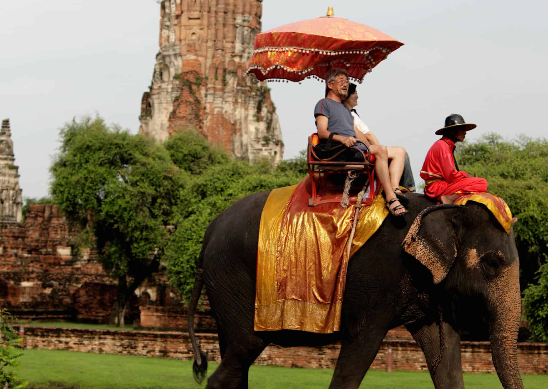 The Dark Side of Touristic Wildlife Encounters