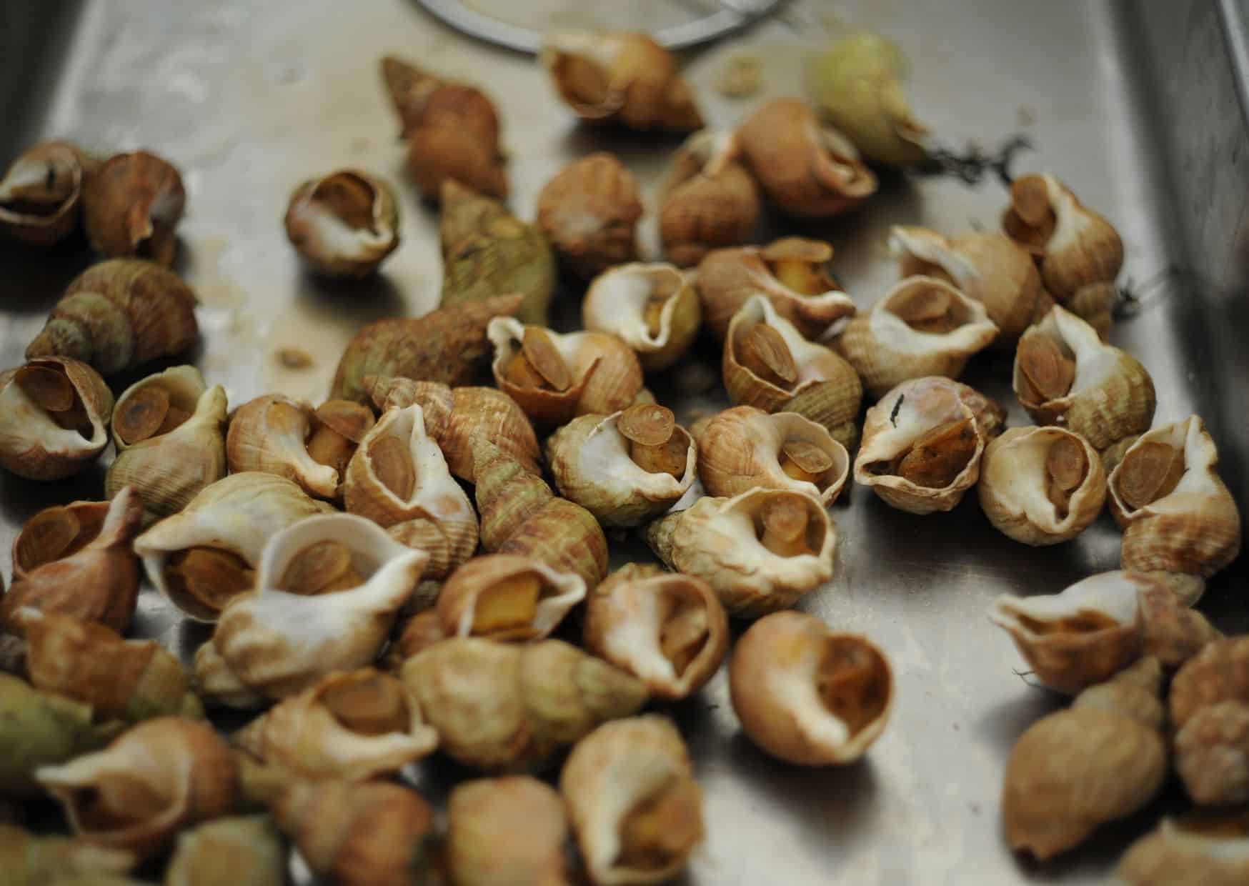 How To Make Escargots (Recipe Guide)