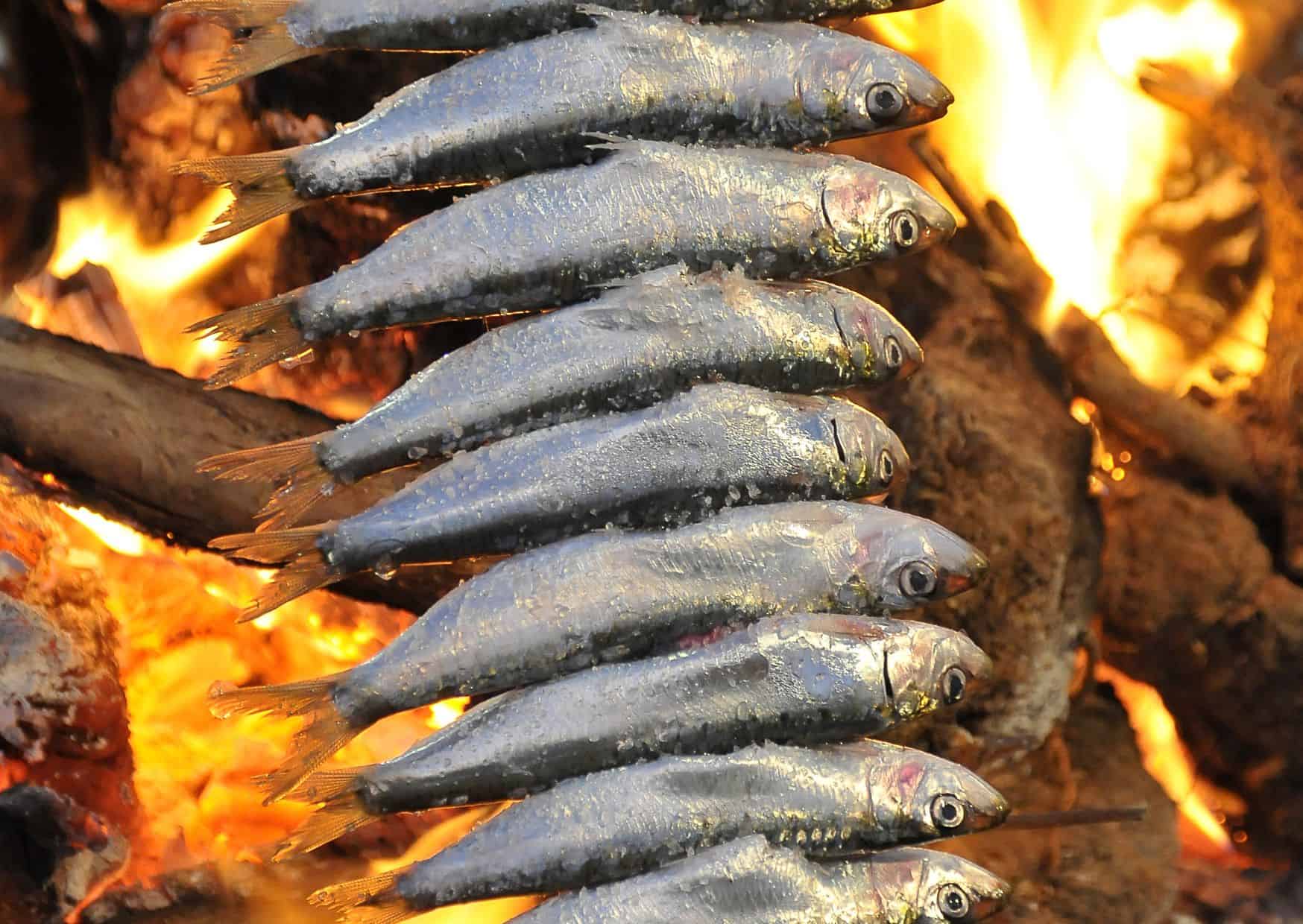 How To Make Homemade Espetos Sardine Skewers (Recipe Guide)