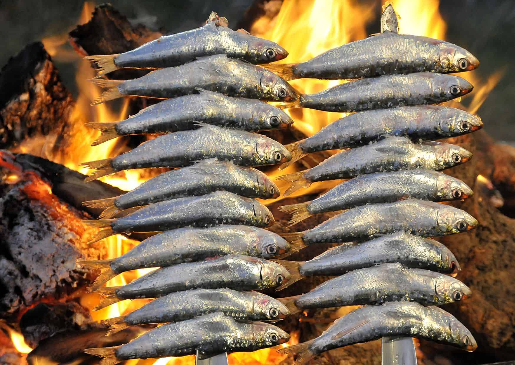 Espetos: The Spanish Sardine Skewers That Tourists Always Get Wrong (Here’s How to Make Them Right) 4 How To Make Homemade Espetos Sardine Skewers (Recipe Guide)