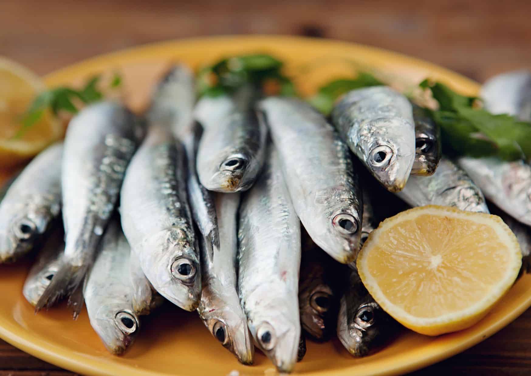 Espetos: The Spanish Sardine Skewers That Tourists Always Get Wrong (Here’s How to Make Them Right) 2 How To Make Homemade Espetos Sardine Skewers (Recipe Guide)