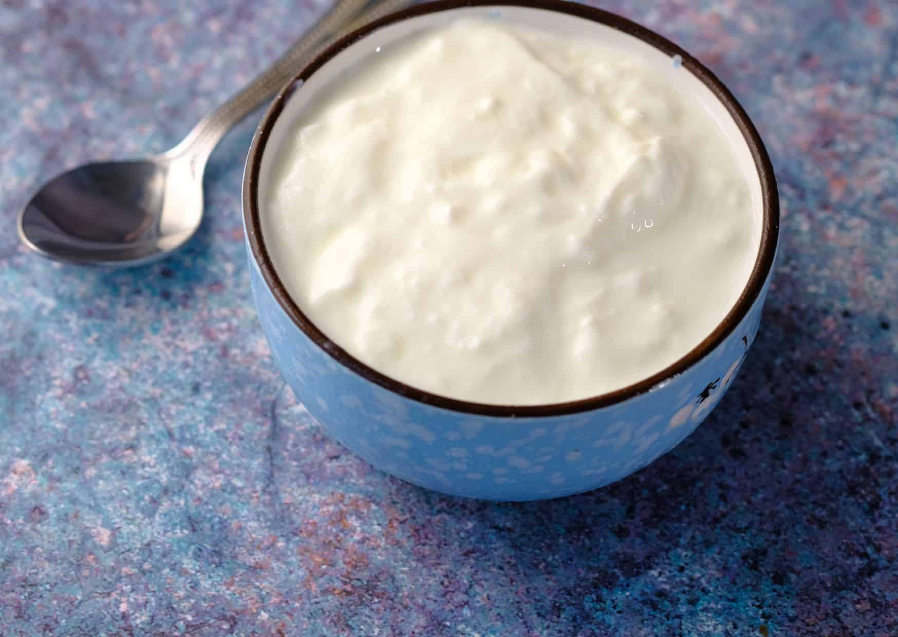 How To Make Homemade Greek Zucchini Fritters (Recipe Guide)