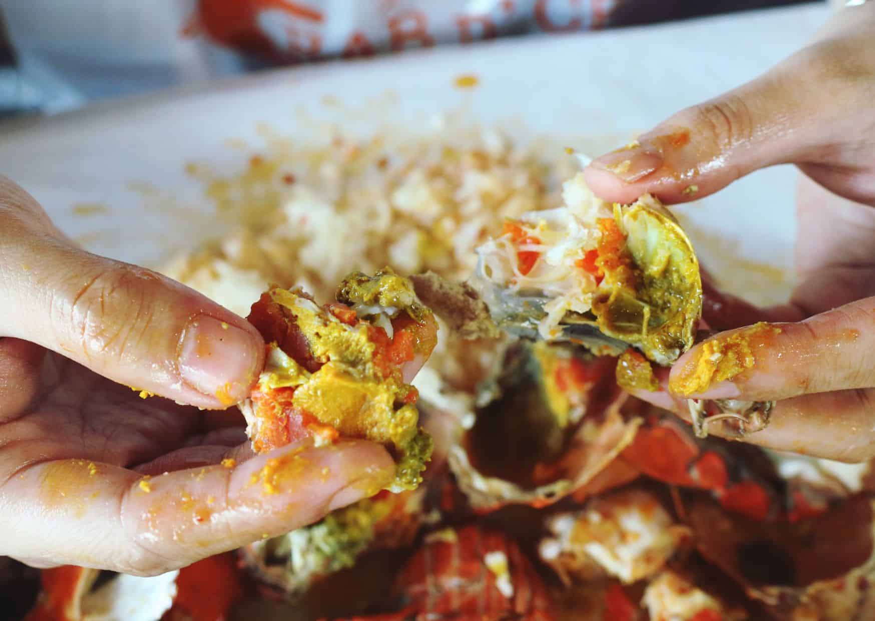 10 Things To Know Before Visiting India - India Travel Tips