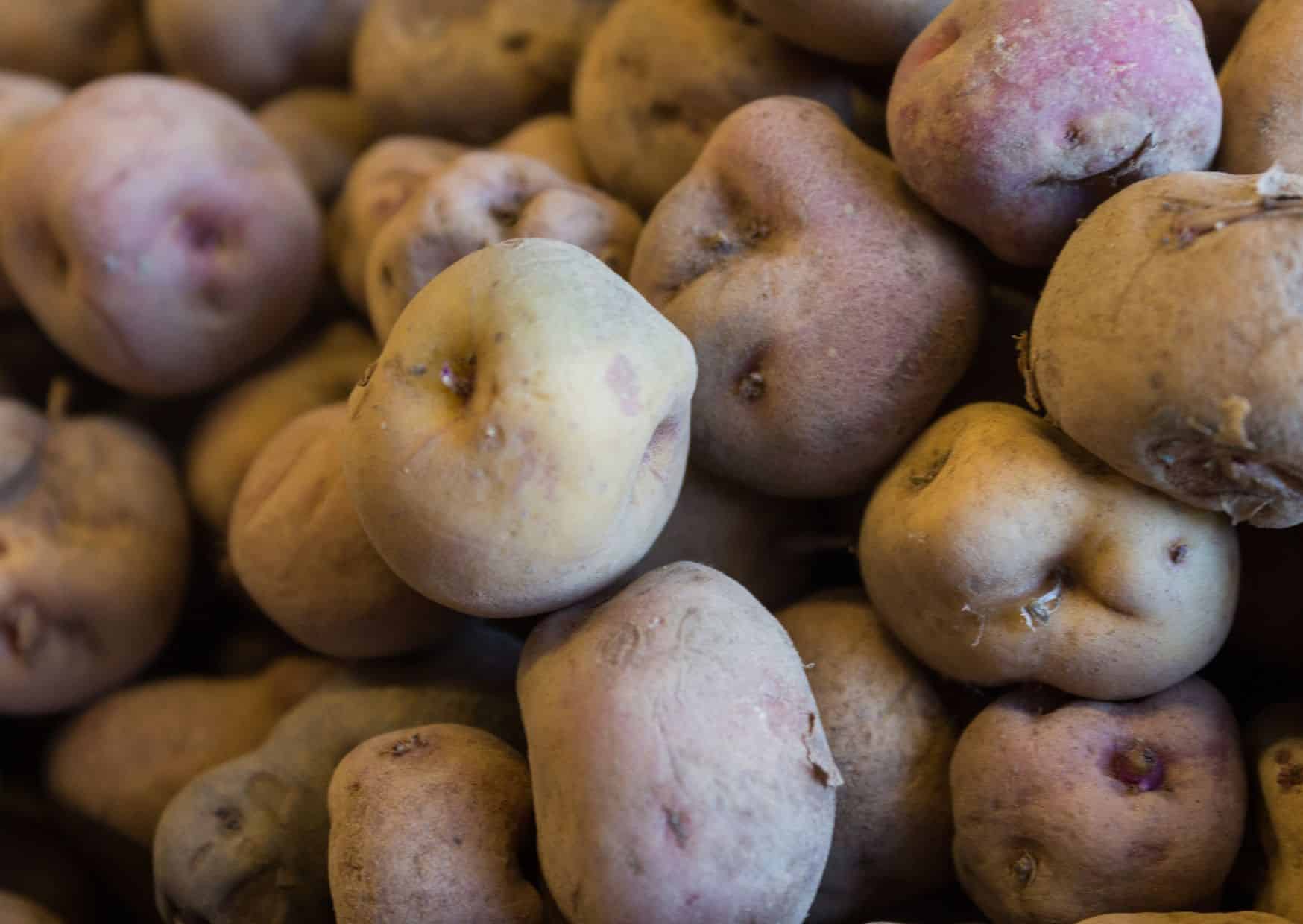 How to Make Papas Arrugadas (Recipe Guide)