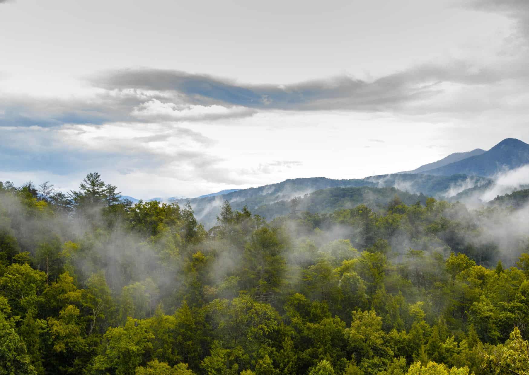 13 Breathtaking UNESCO World Heritage Sites in the USA You’ll Regret Not Visiting 8 USA 3