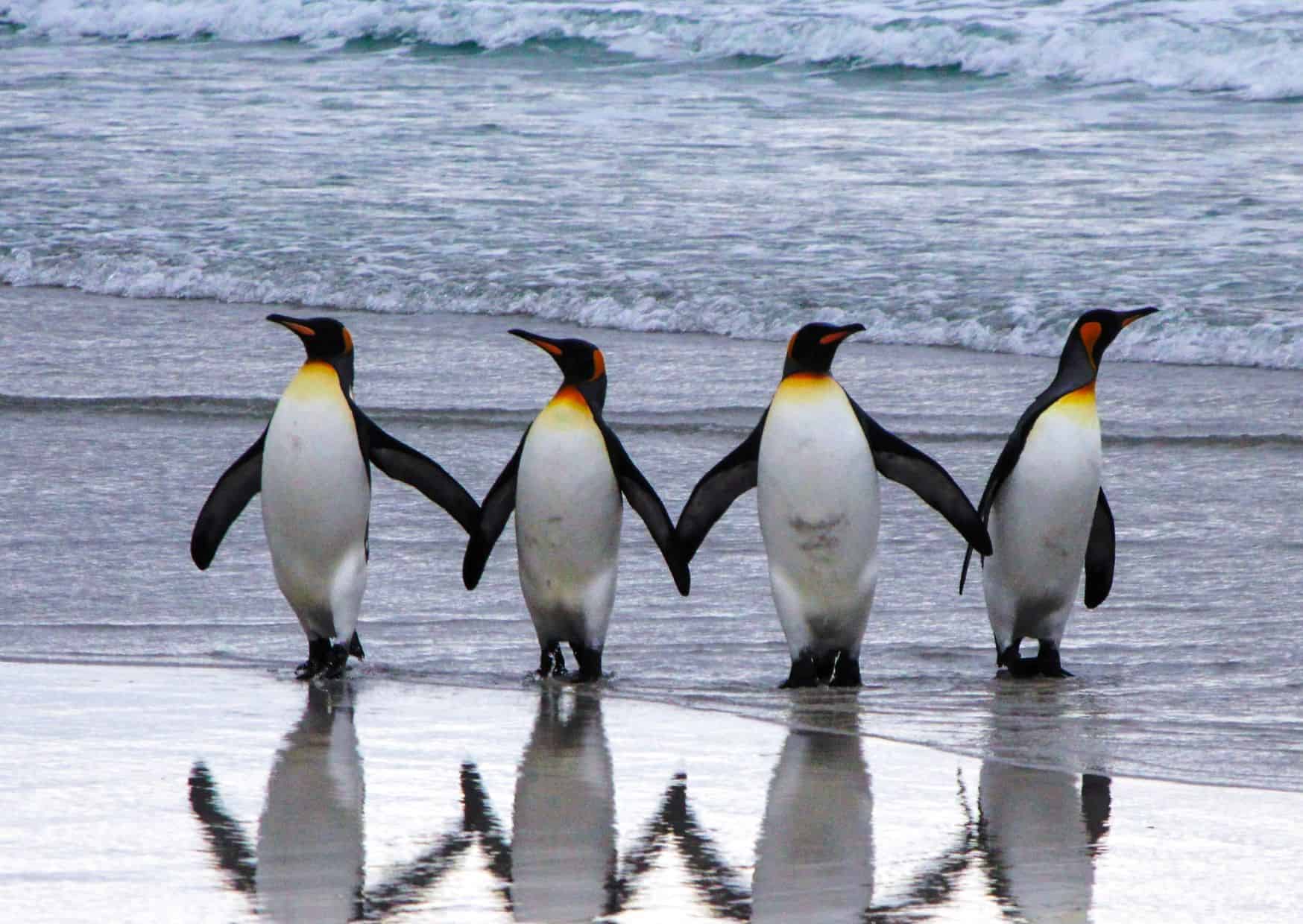 15 Worst Destinations For Flashpackers In The World