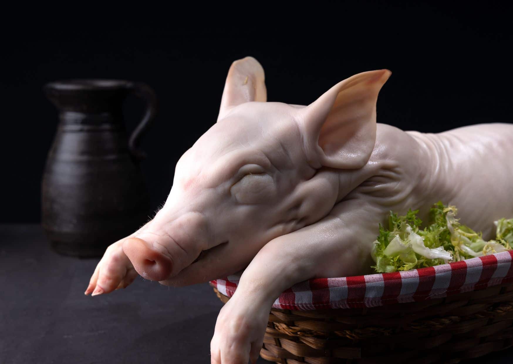 How To Make Spanish Cochinilo (Recipe Guide)