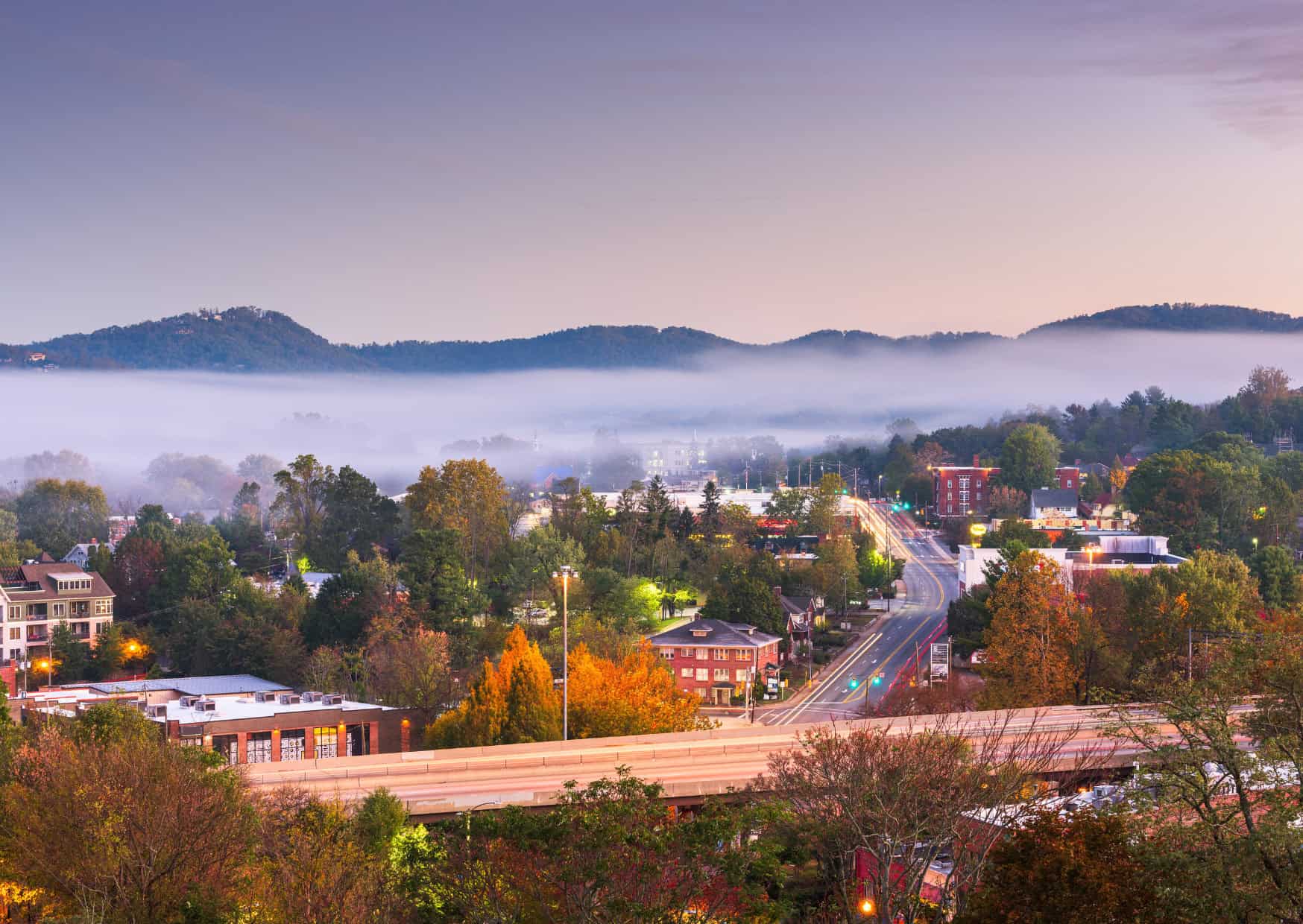 pet friendly travel destinations