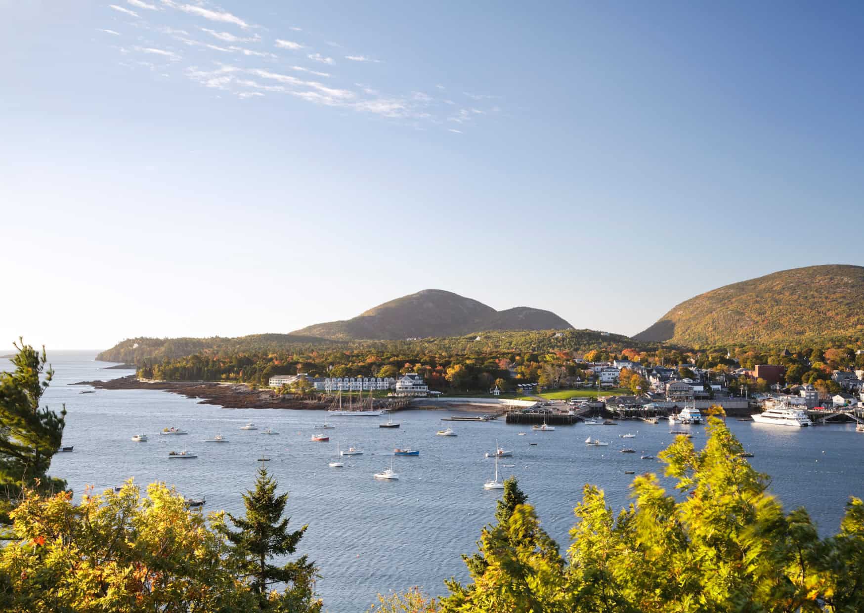 pet friendly travel destinations