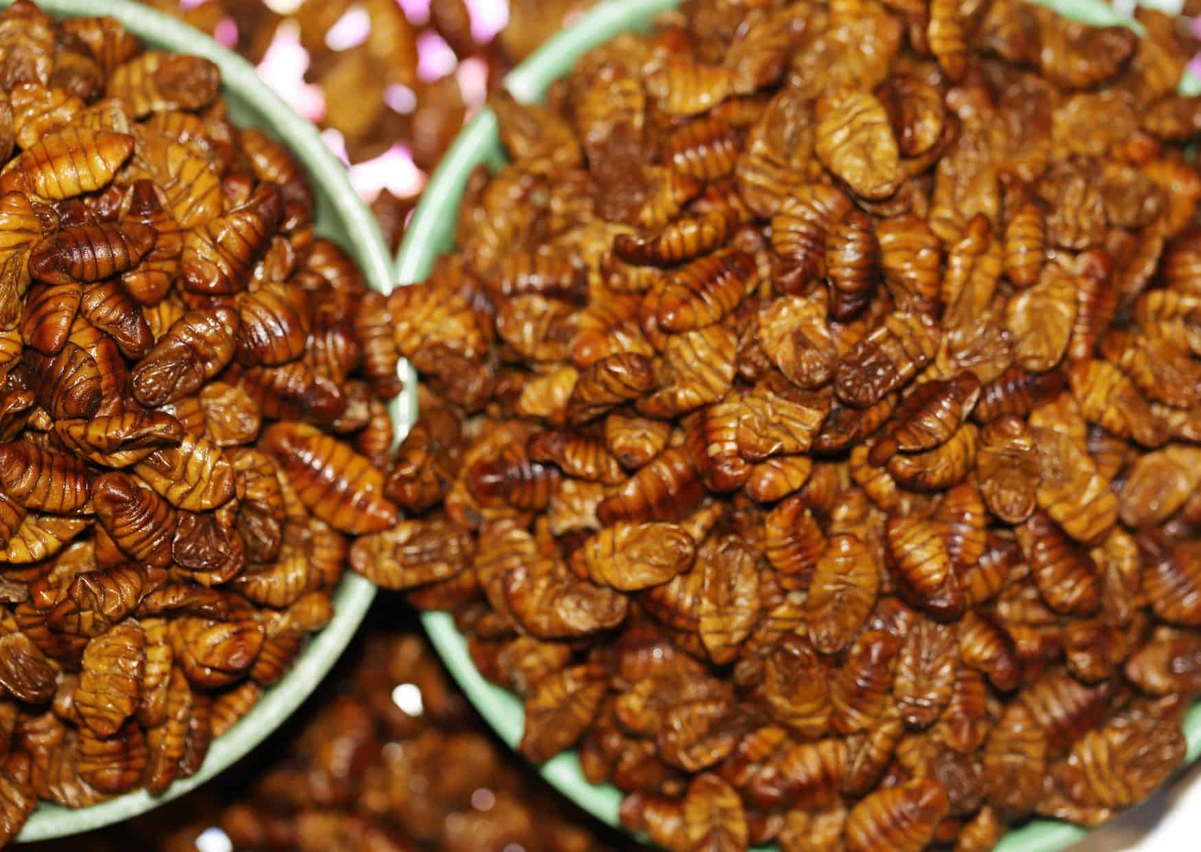 11 Weird and Unique Foods to Try in Asia 8 Beondegi (South Korea)