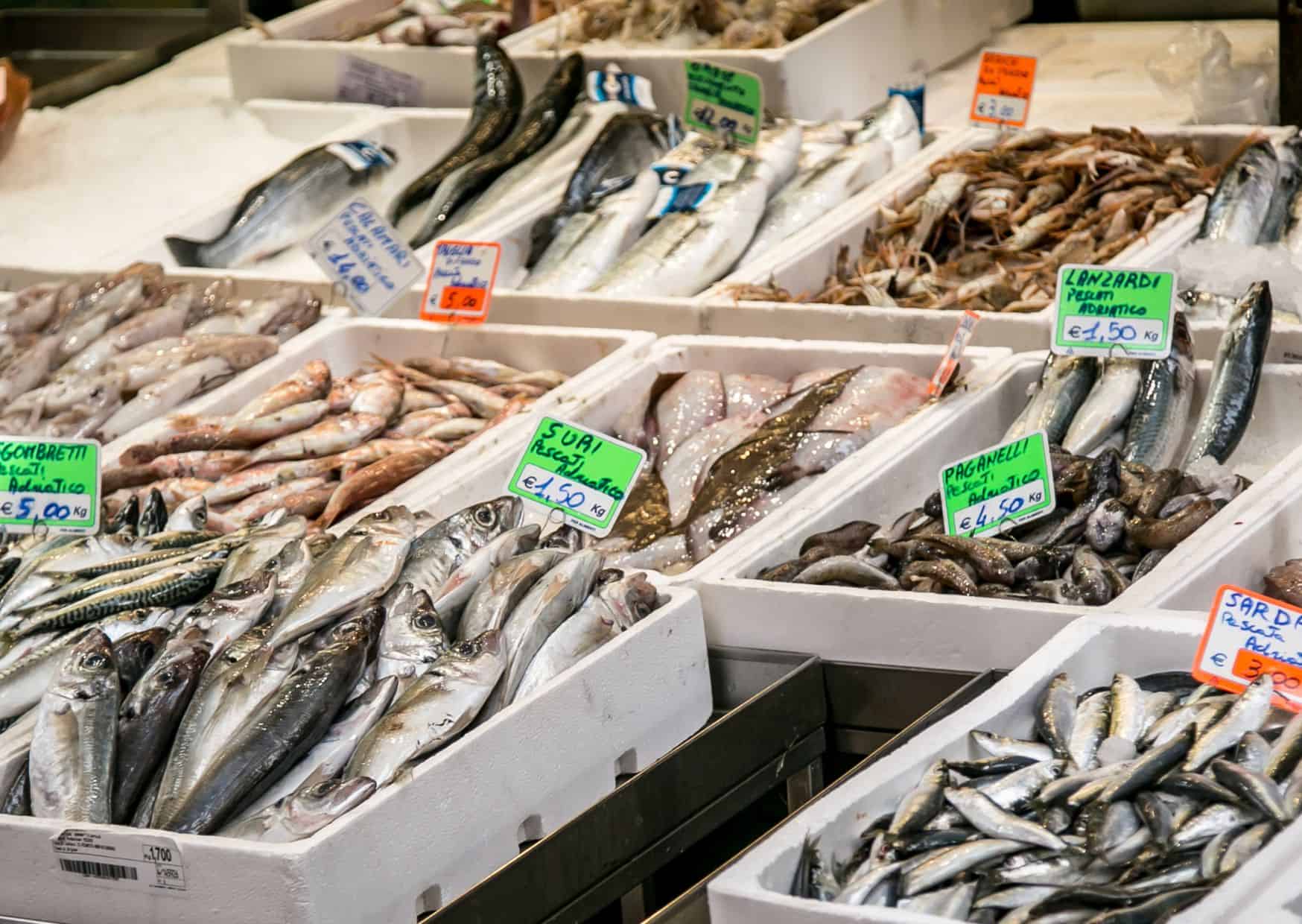 11 Mistakes to Avoid in Bologna and How to Avoid Them