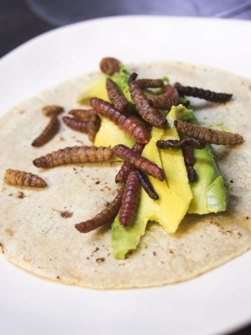 11 Weird and Unique Foods to Try In Europe, 8 Worst Food To Try Around The World And What To Try Instead