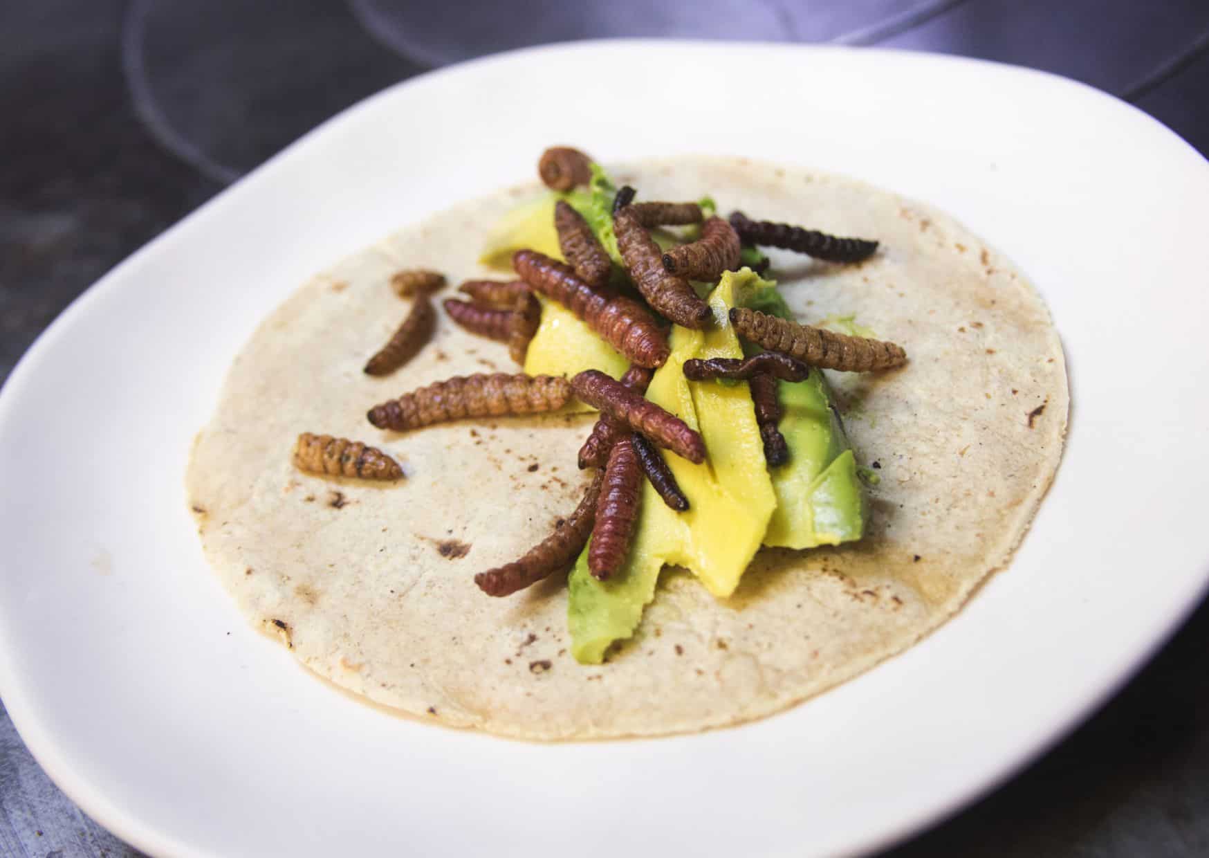 10 Weird and Unique Foods to Try In Europe 8 11 Weird and Unique Foods to Try In Europe, 8 Worst Food To Try Around The World And What To Try Instead