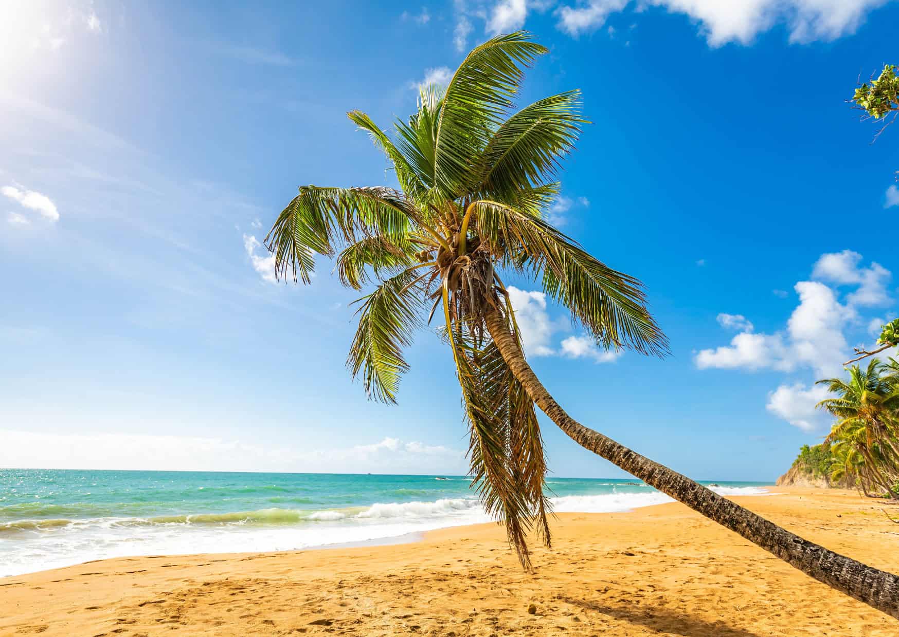 Caribbean Beaches Vs Asian Beaches What Are The Most Beautiful