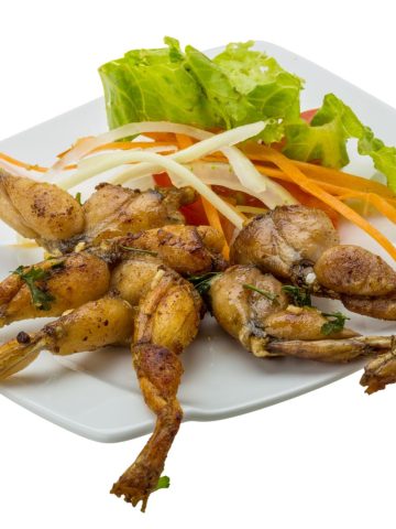 10 Weird and Unique Foods to Try In Europe