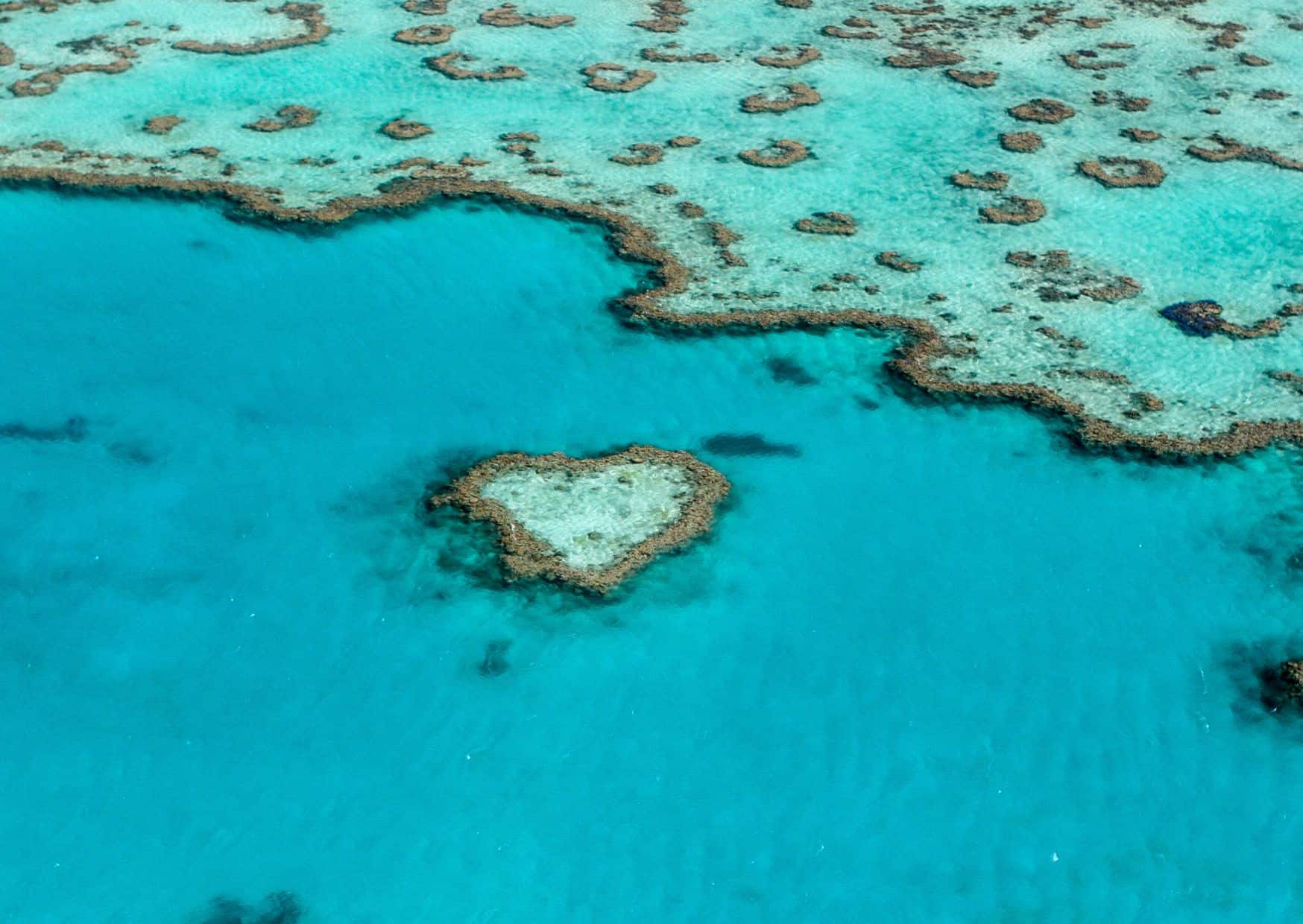 15 Paradise Diving Destinations Around the World, 15 Most Popular Nature Destinations: A Nature Lover’s Paradise Around the World, Great Barrier Reef, Australia, 20 Top Bucket List Experiences For Your Next Year