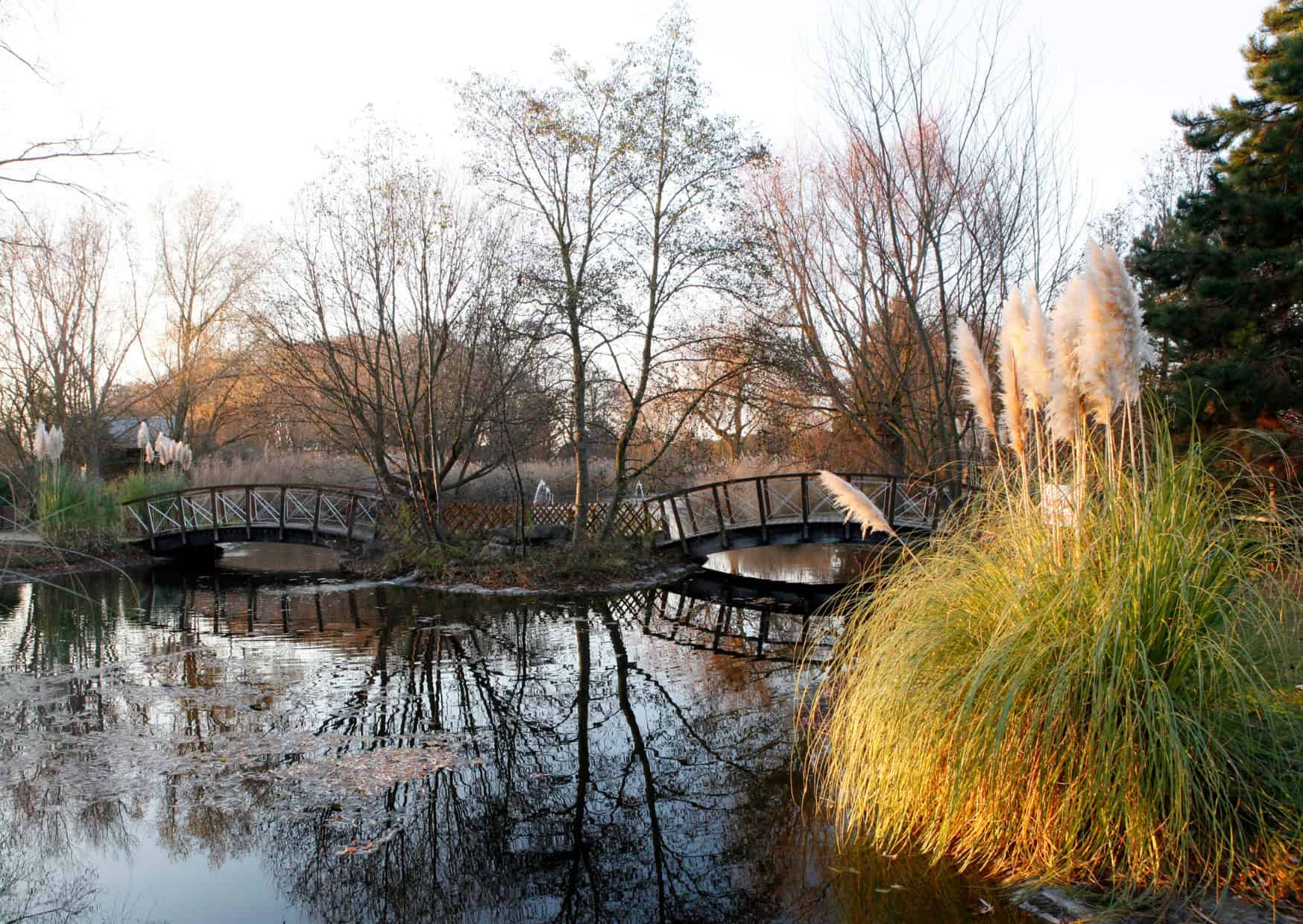 hidden paris viewpoints