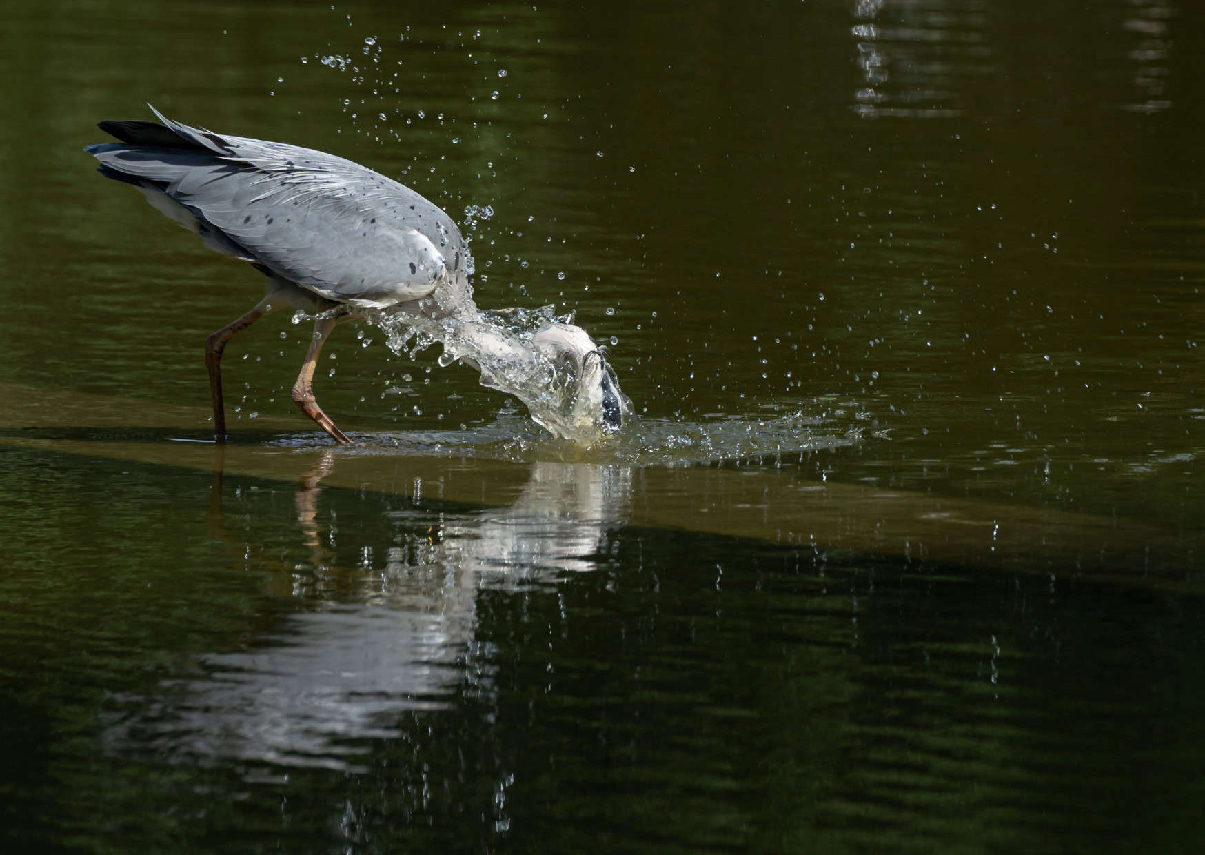 hidden paris viewpoints