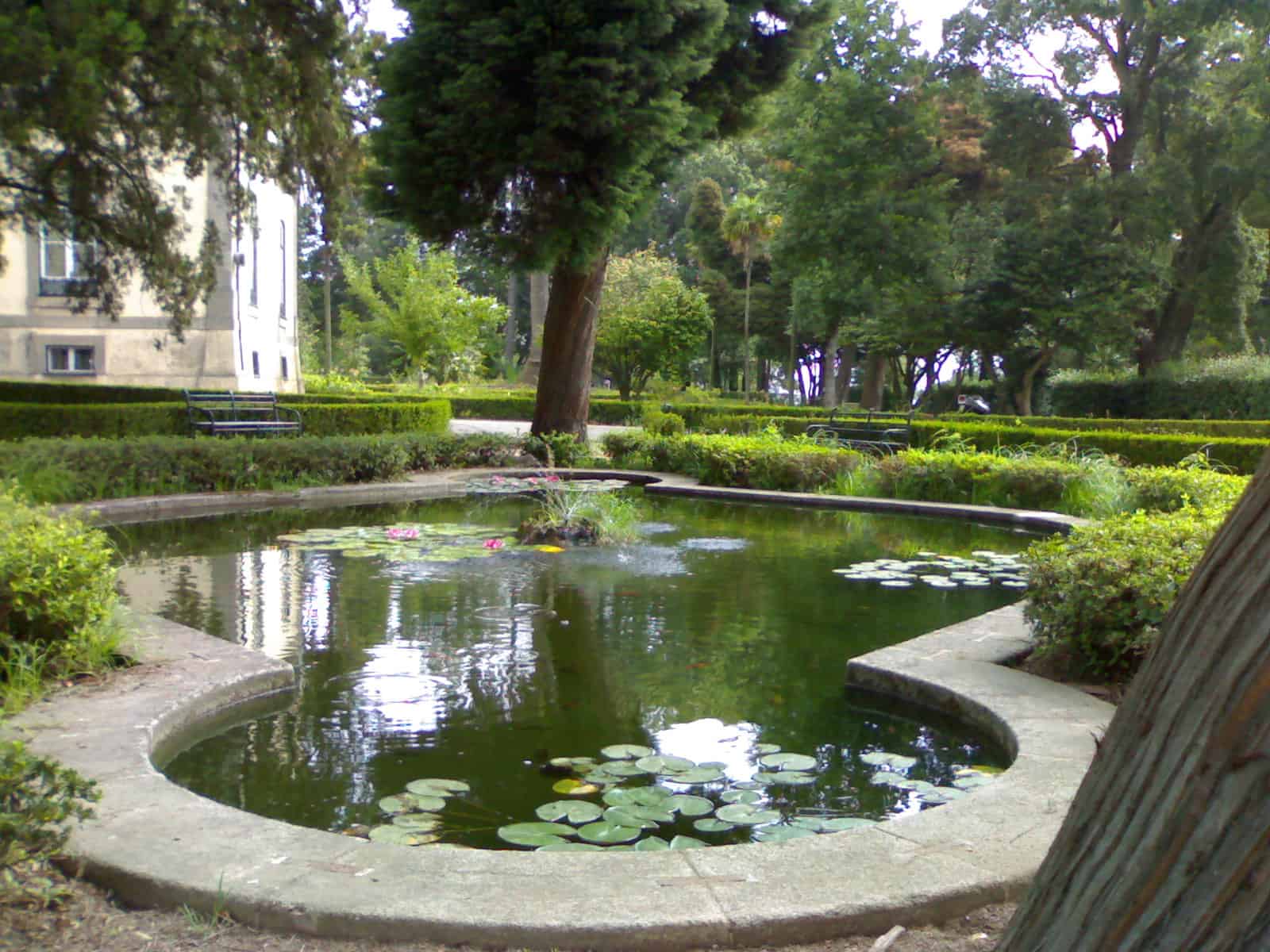 Mais detalhes Lago de nenufares do Parque de Nova Sintra no Porto