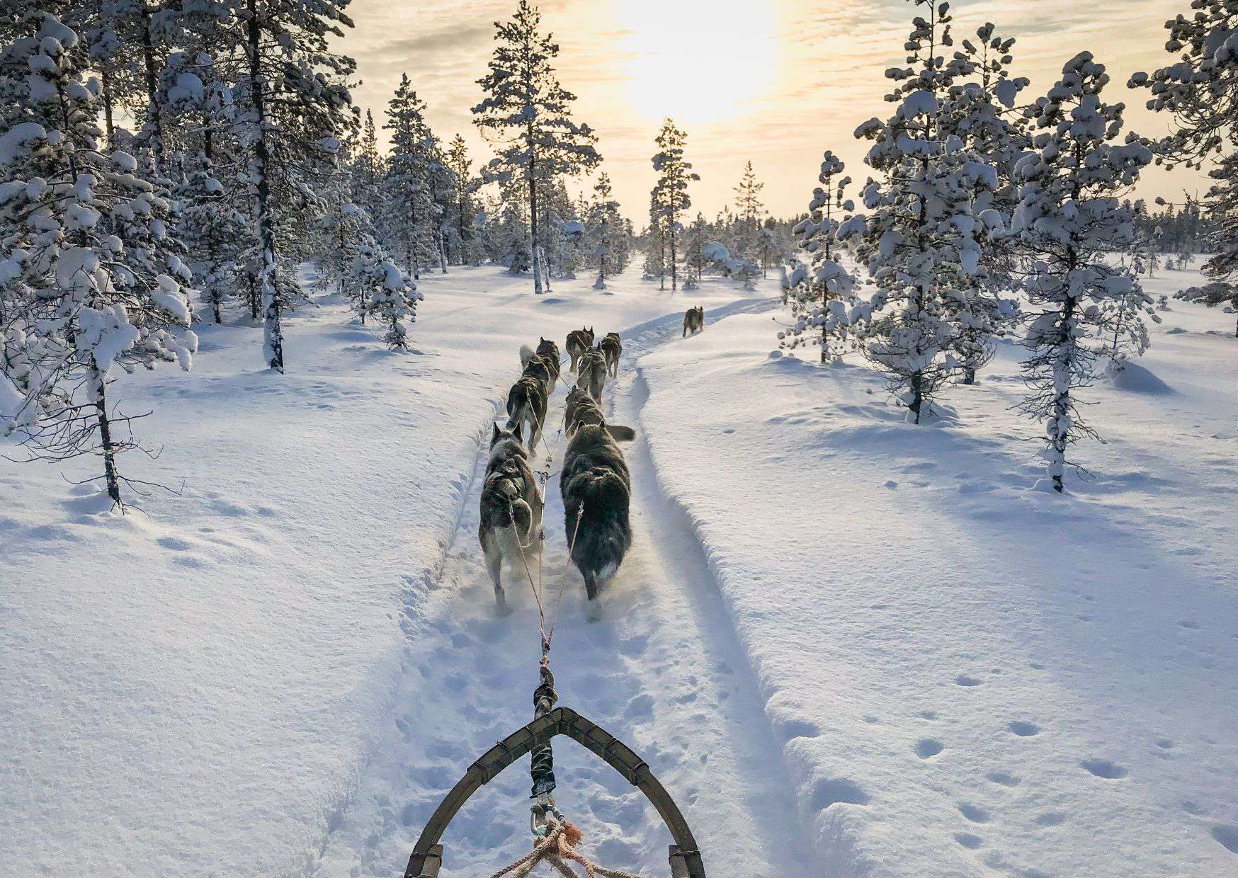 12 Mistakes to Avoid in Sweden and How to Avoid Them