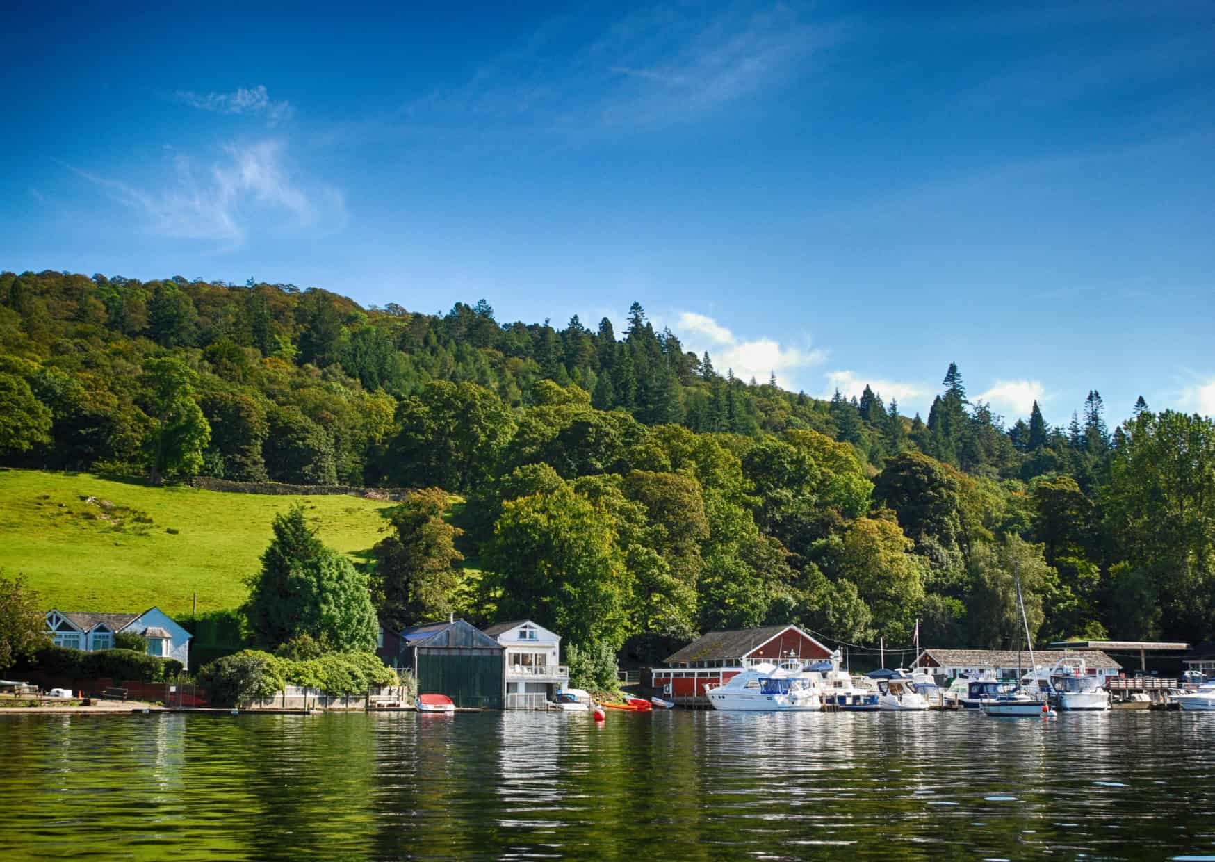 pet friendly travel destinations