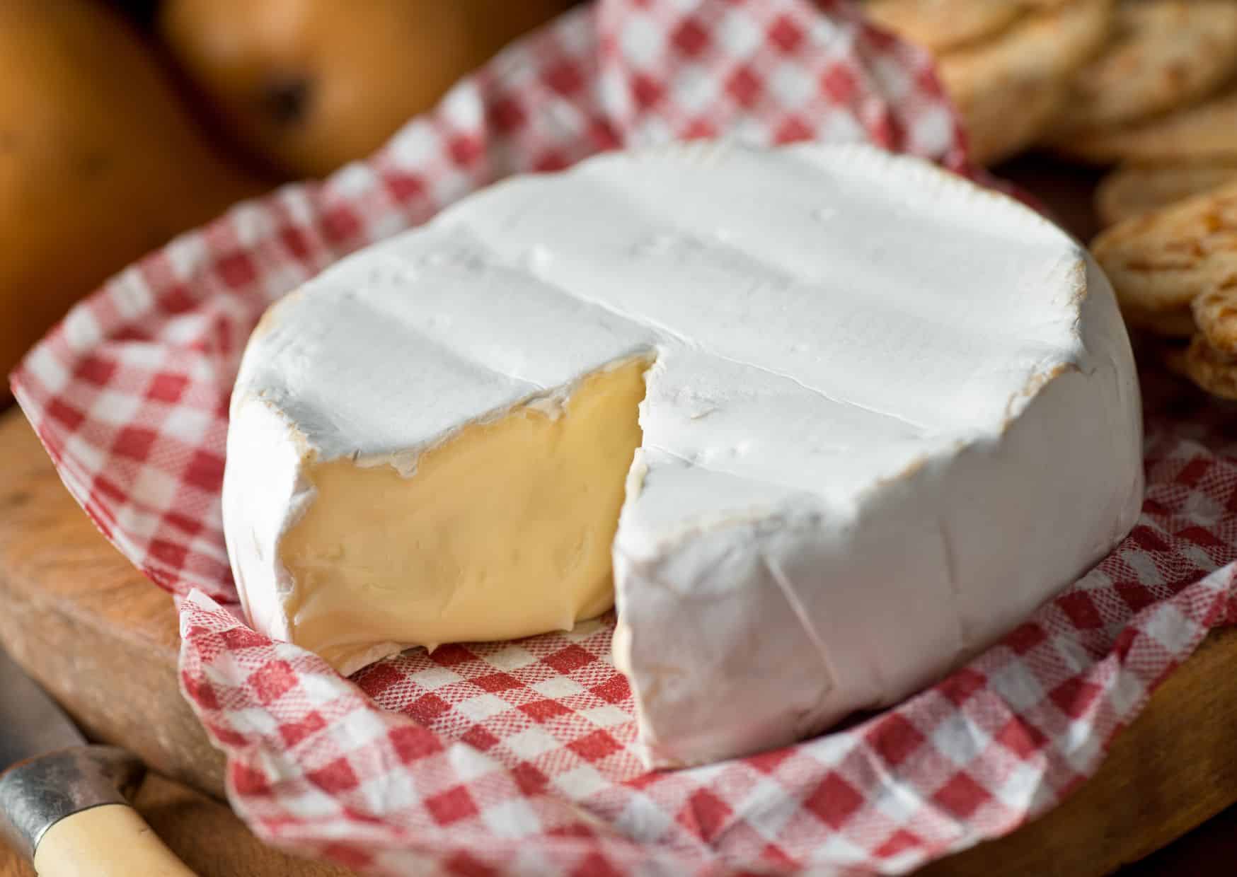 Brie Vs Camembert: Best Cheese and Recipe Guide