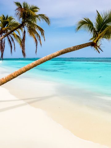 7 Reasons Why Not To Visit the Caribbean? 8 Main Reasons To Visit
