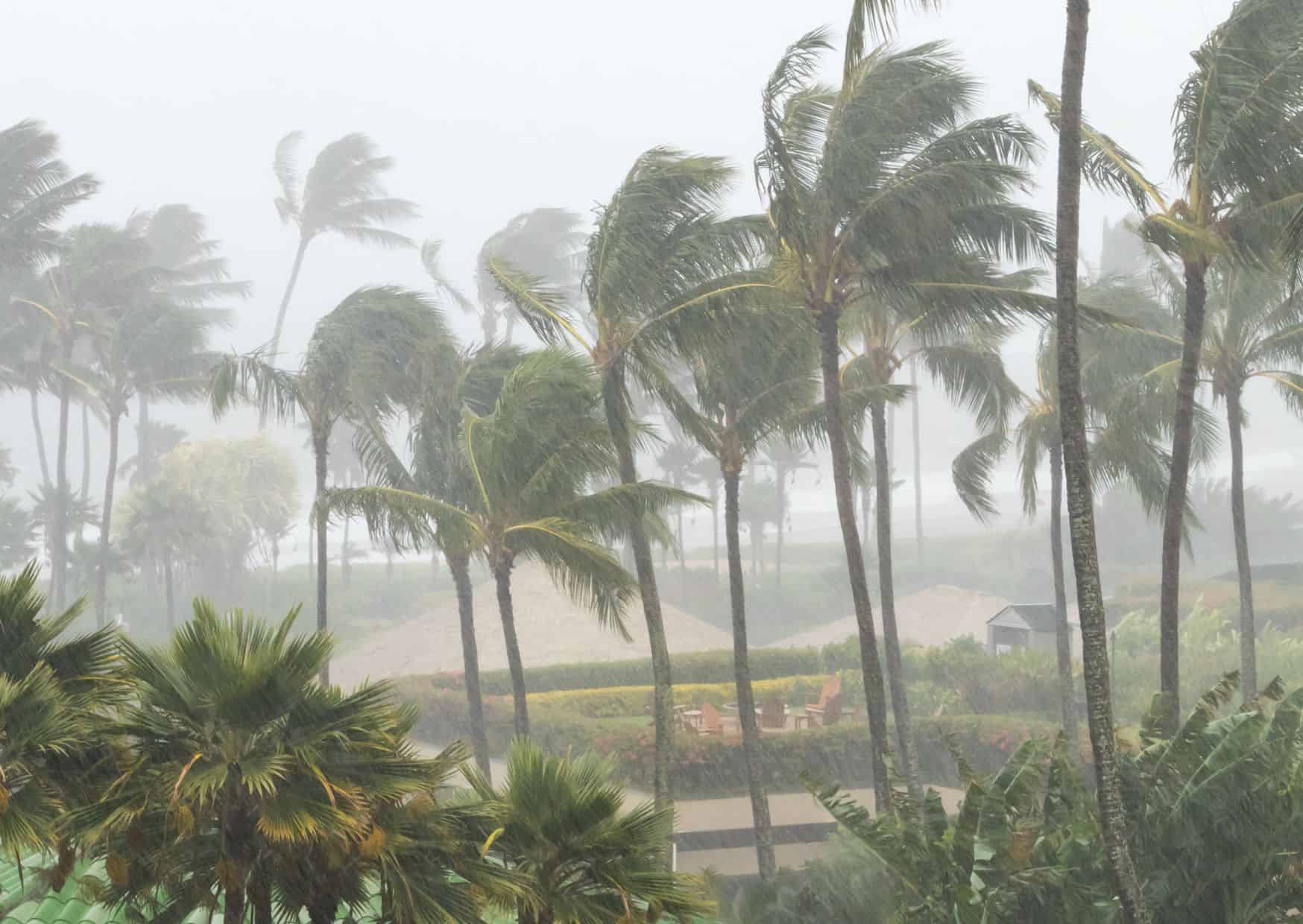 7 Reasons Why Not To Visit the Caribbean? 8 Main Reasons To Visit