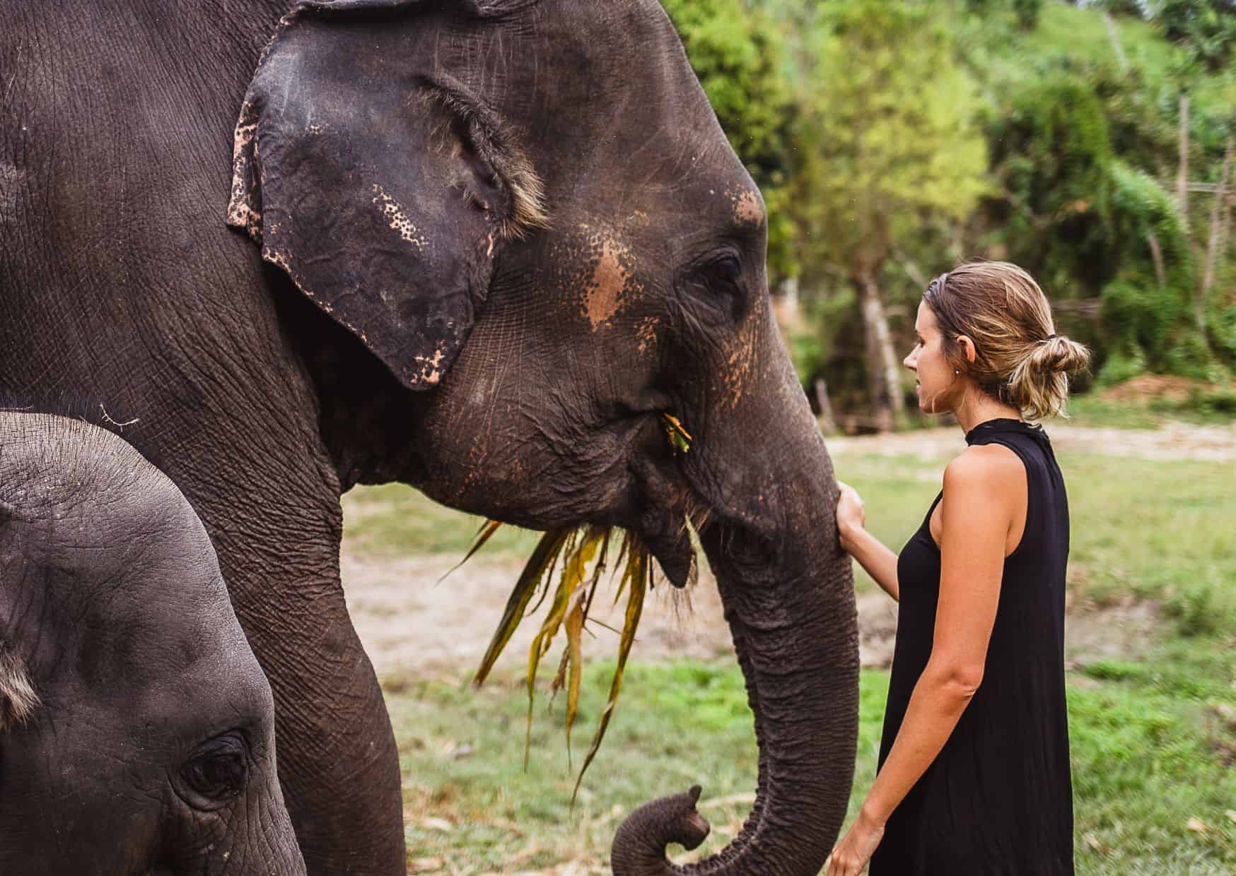 Why Not to Visit an Elephant Sanctuary And Reasons to Visit One On Your Travels