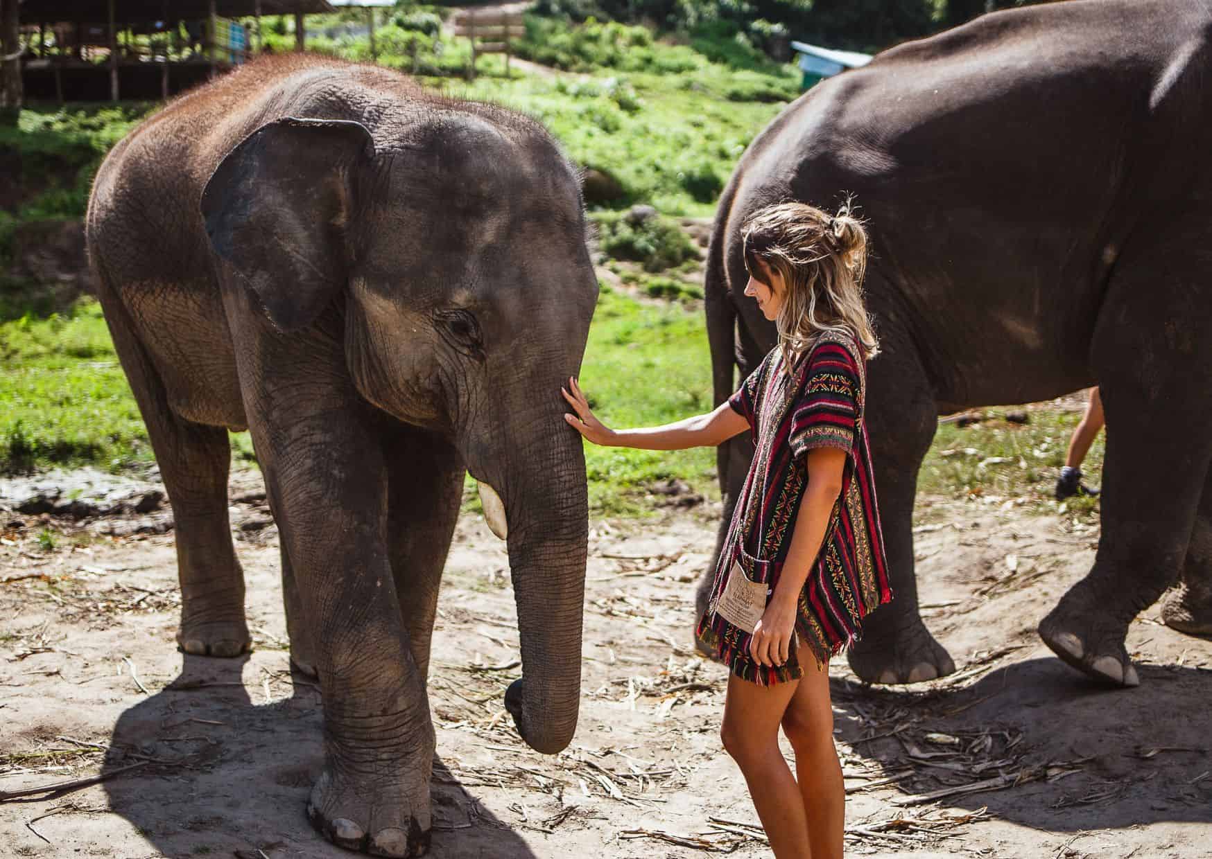 Why Not to Visit an Elephant Sanctuary And Reasons to Visit One On Your Travels