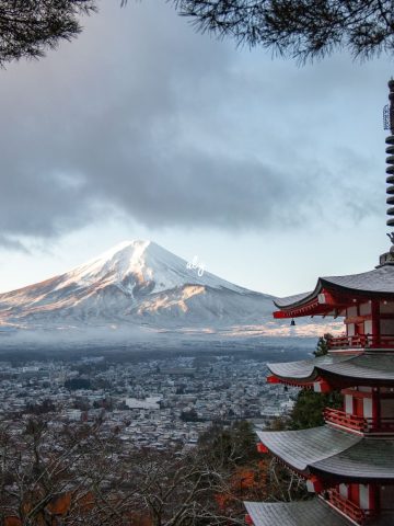 Traveling To Japan? Check Out Rules About Tipping in Japan: Travel Guide