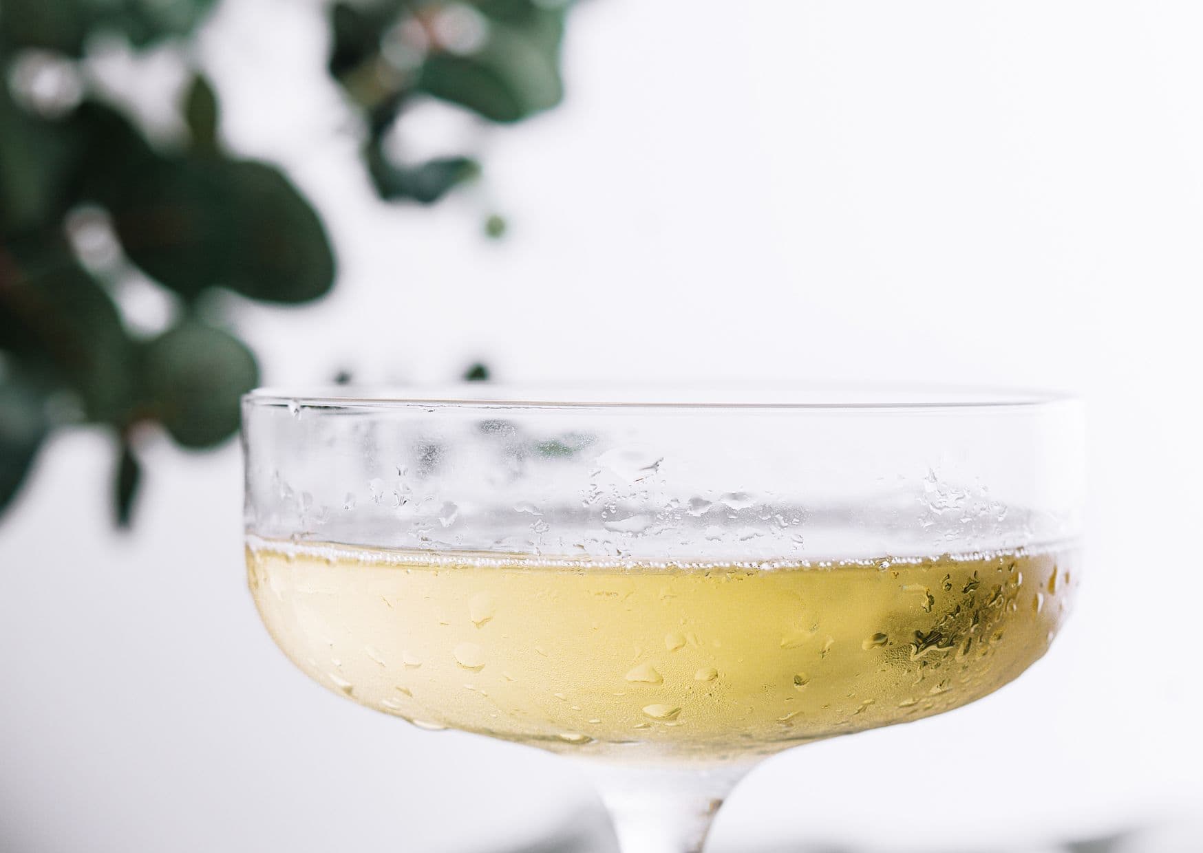 10 Most Popular Wines in the World