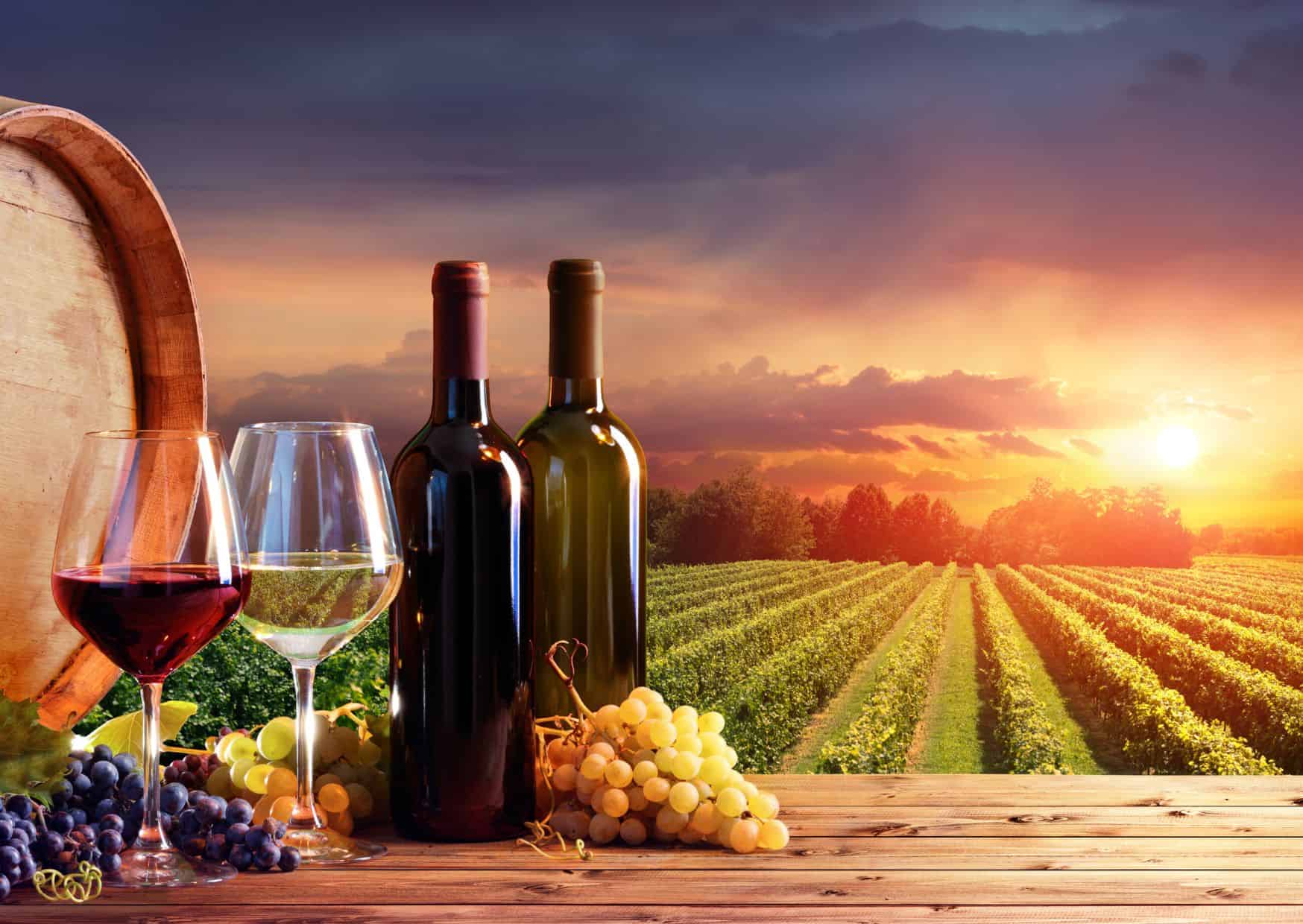 Things to Know Before Visiting Tuscany: Best Tuscany Itinerary & Travel Guide