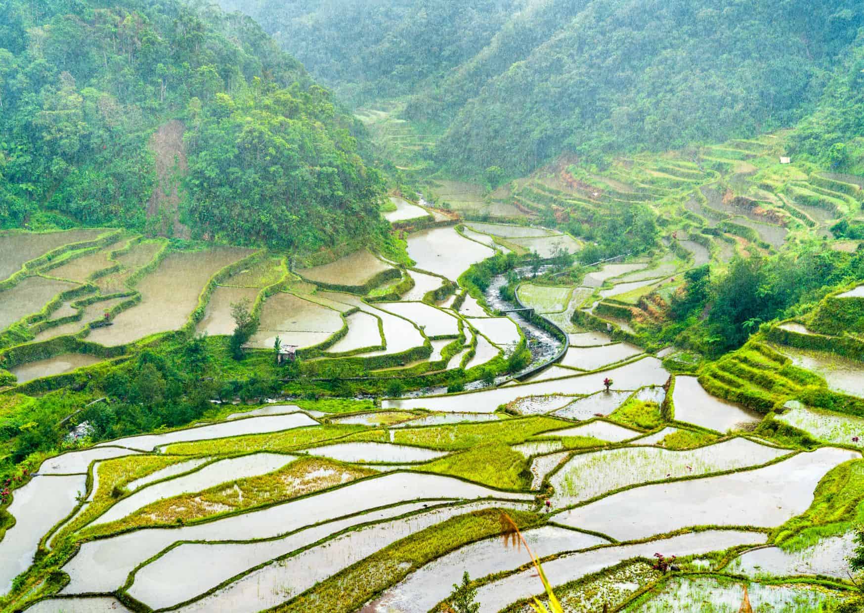 Don’t Do This in the Philippines: 22 Things Not to Do in the Philippines