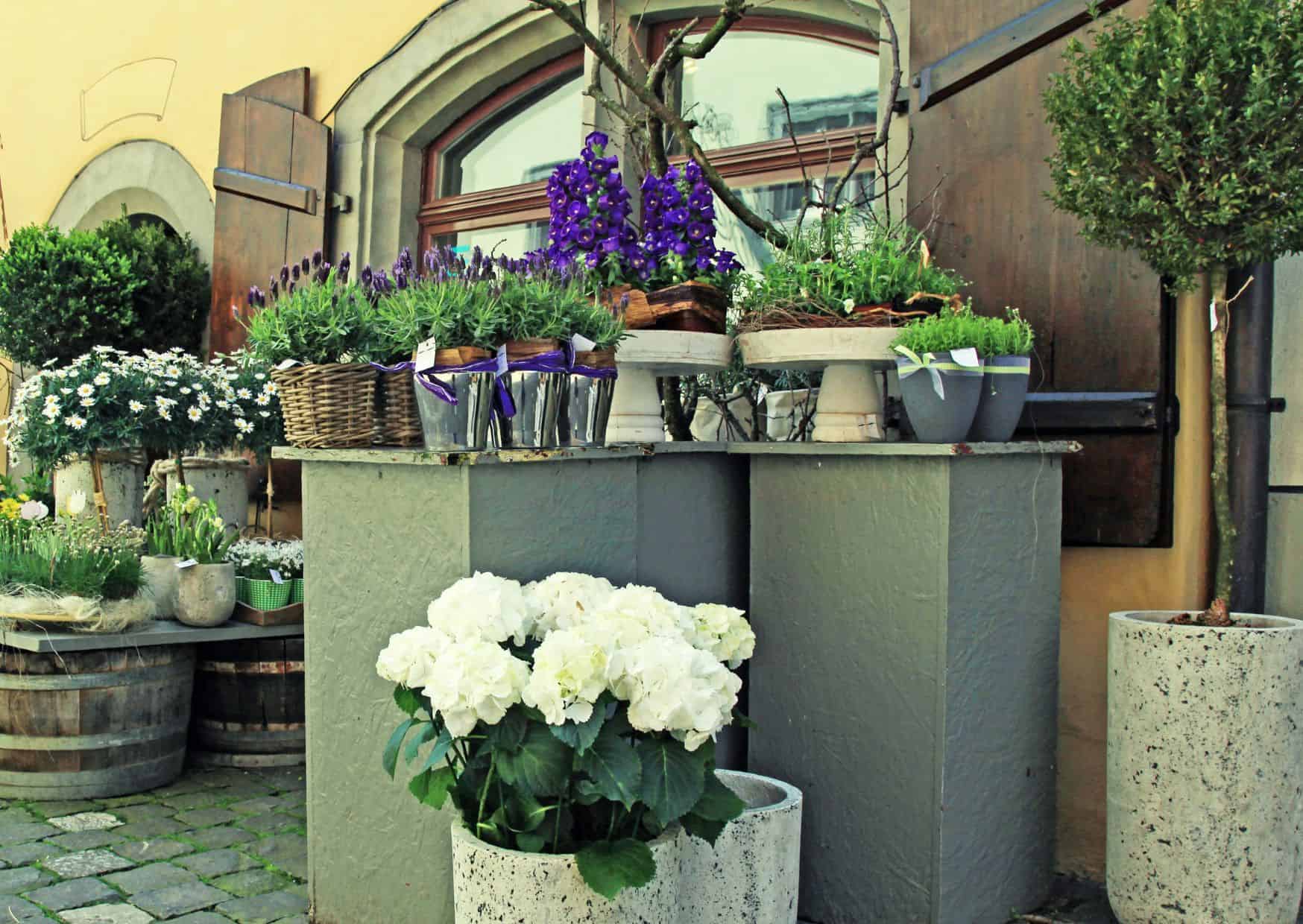 Don’t Do This in Switzerland: 20 Things Not to Do in Switzerland