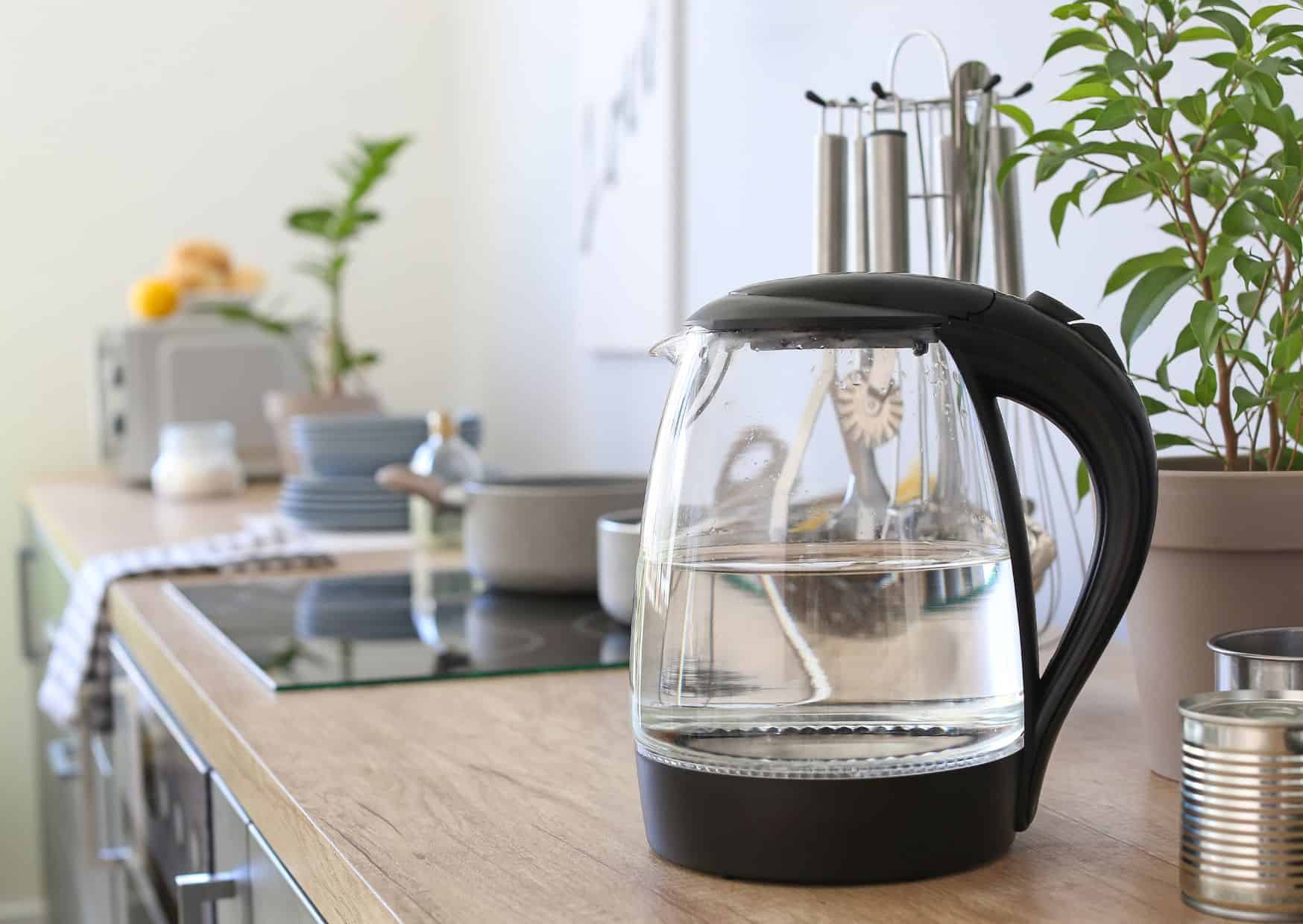 20 Weirdest Things to Pack for a Trip