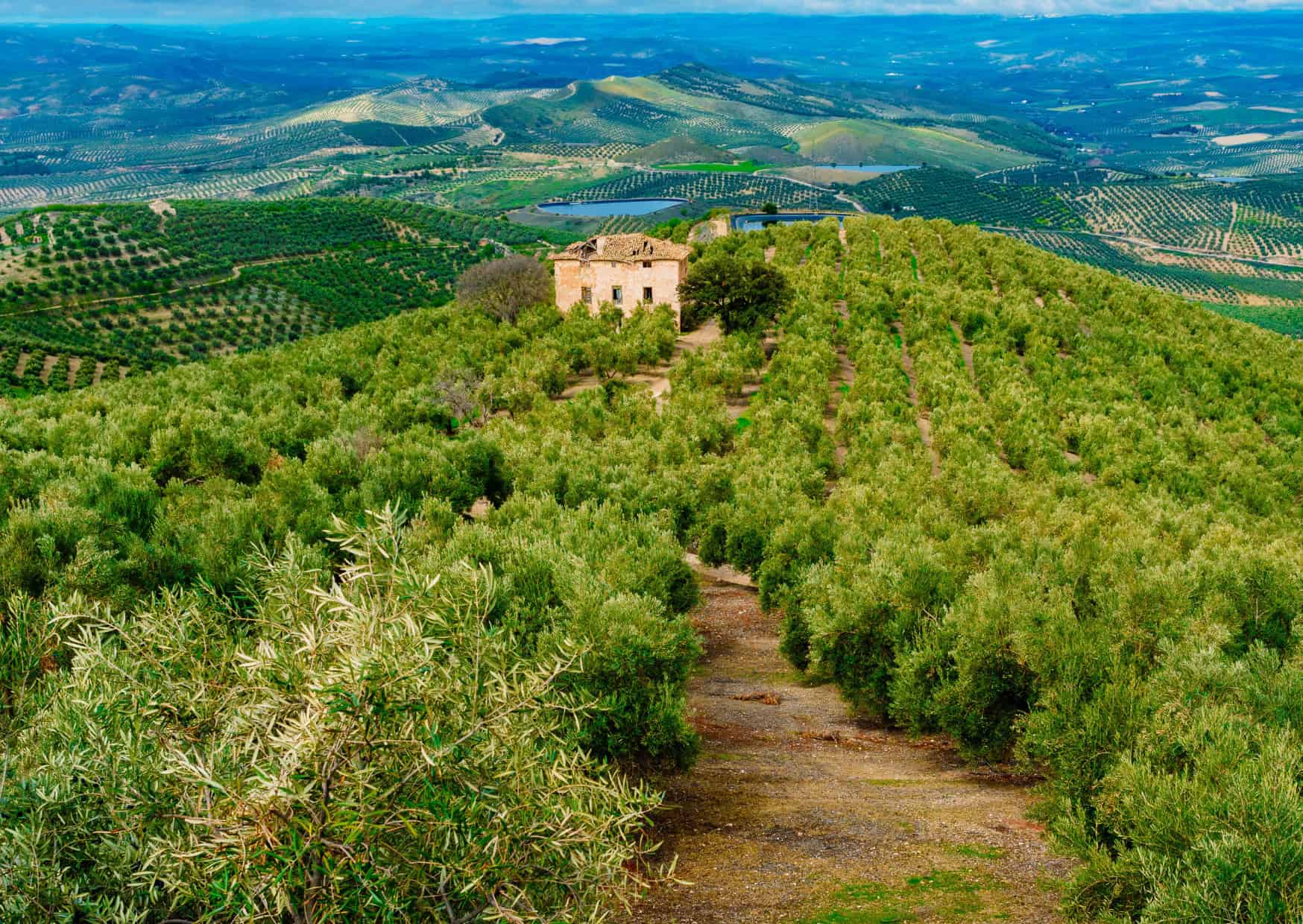 European Spots for Remote Work 4