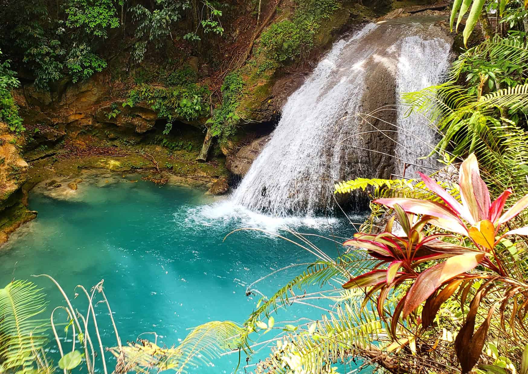 Gottogo Transportation for Jamaica 2