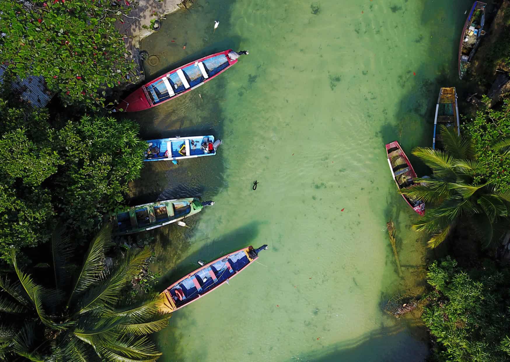 Gottogo Transportation for Jamaica 3