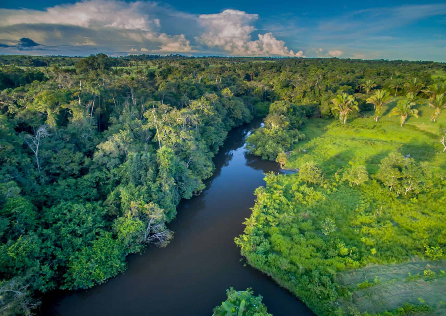 Amazon Basin, Peru