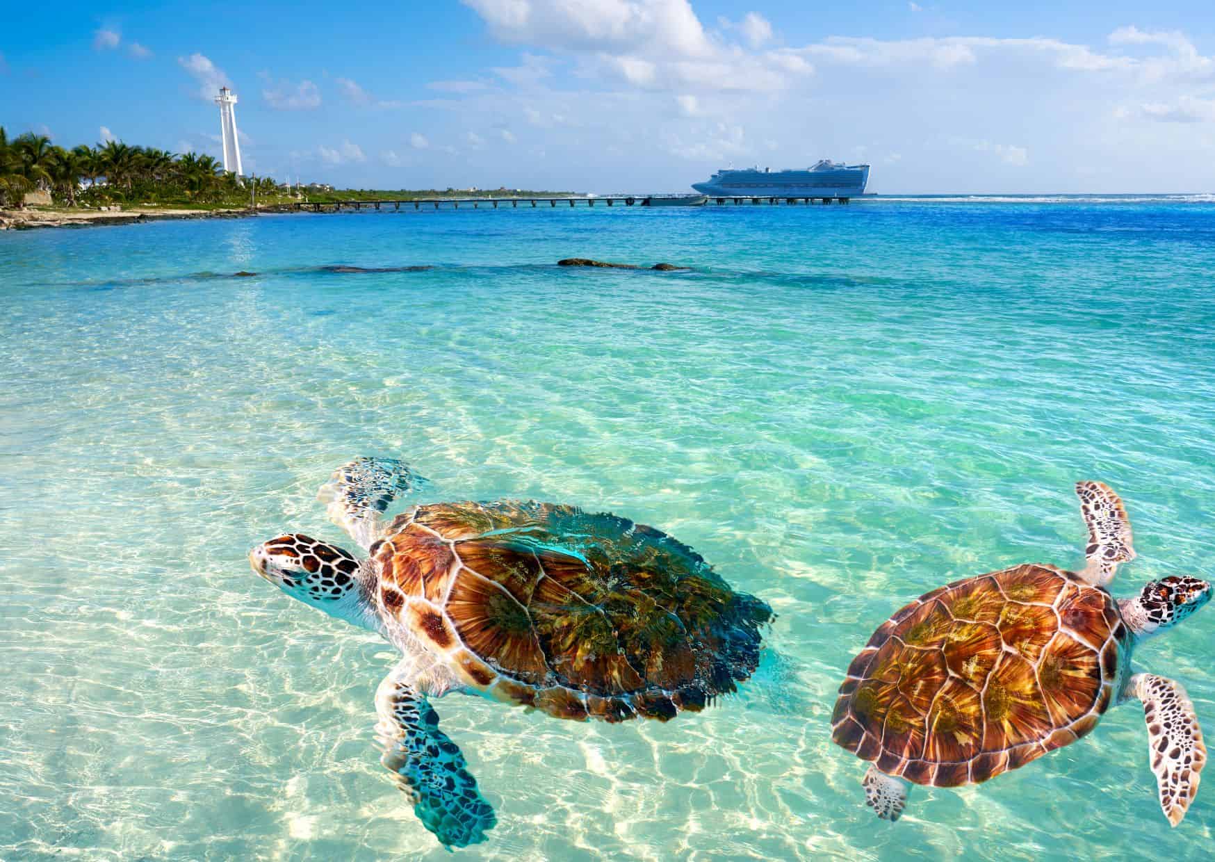 20 Unspoken Rules Of Caribbean Beaches That Tourists Can't Understand 4 USA 22