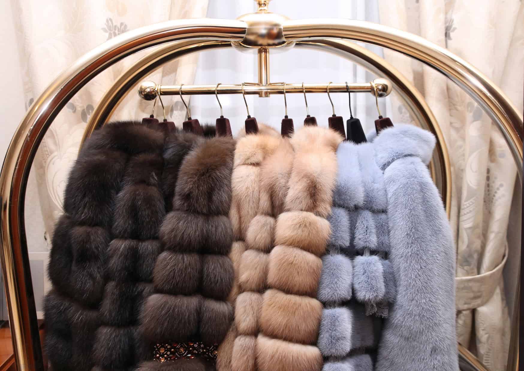 Why Europeans Don’t Care About the Status Symbols Americans Obsess Over 6 Why Europeans Think These Status Symbols Are Silly 10